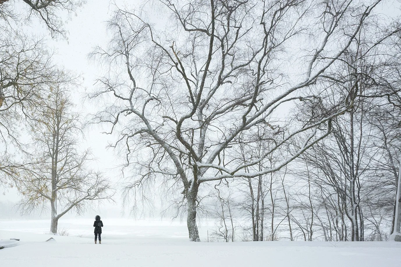 Standing Within Quiet