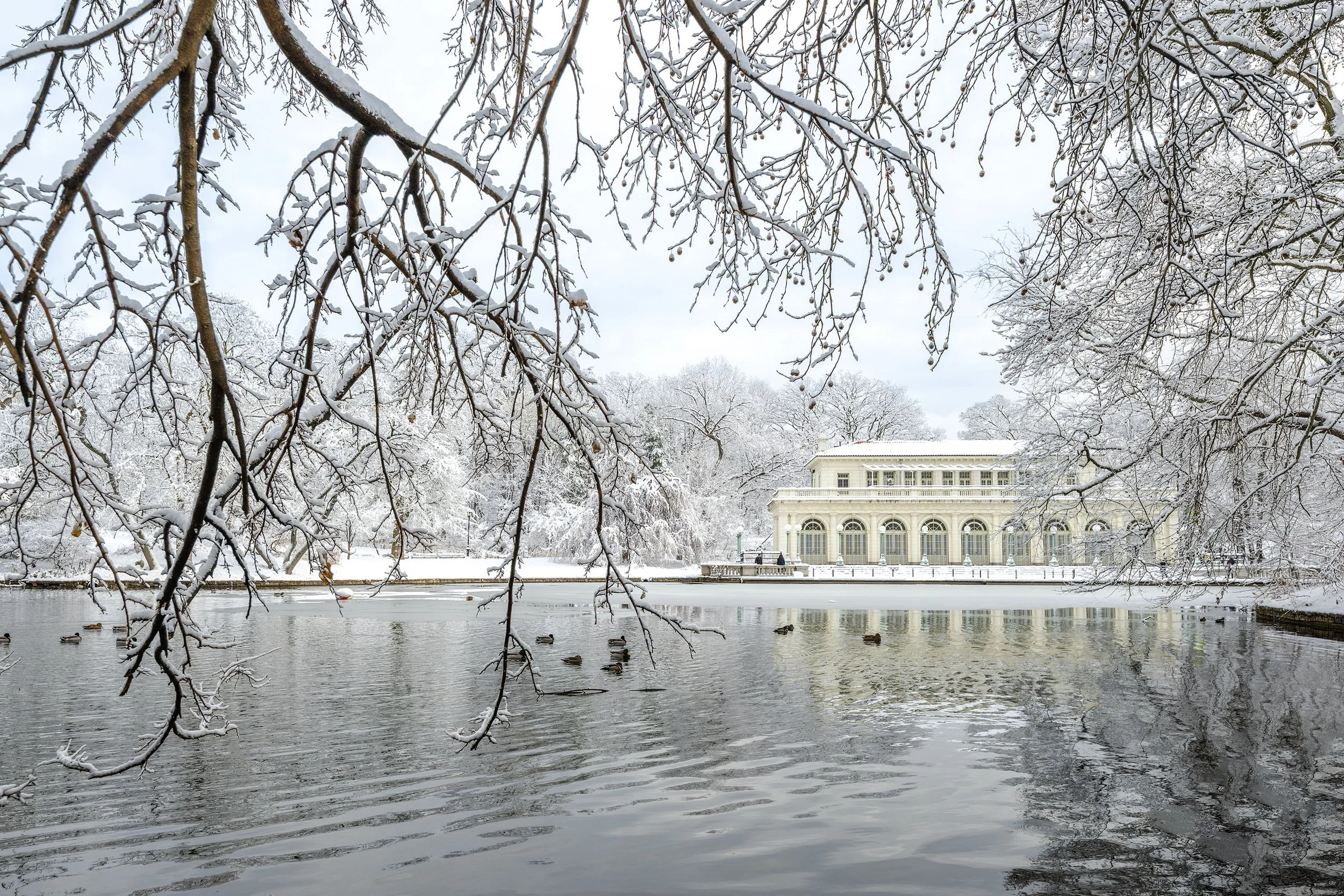 Snow-covered trees and architectural elements reflected in still water at Prospect Park, Brooklyn, during a quiet winter scene.