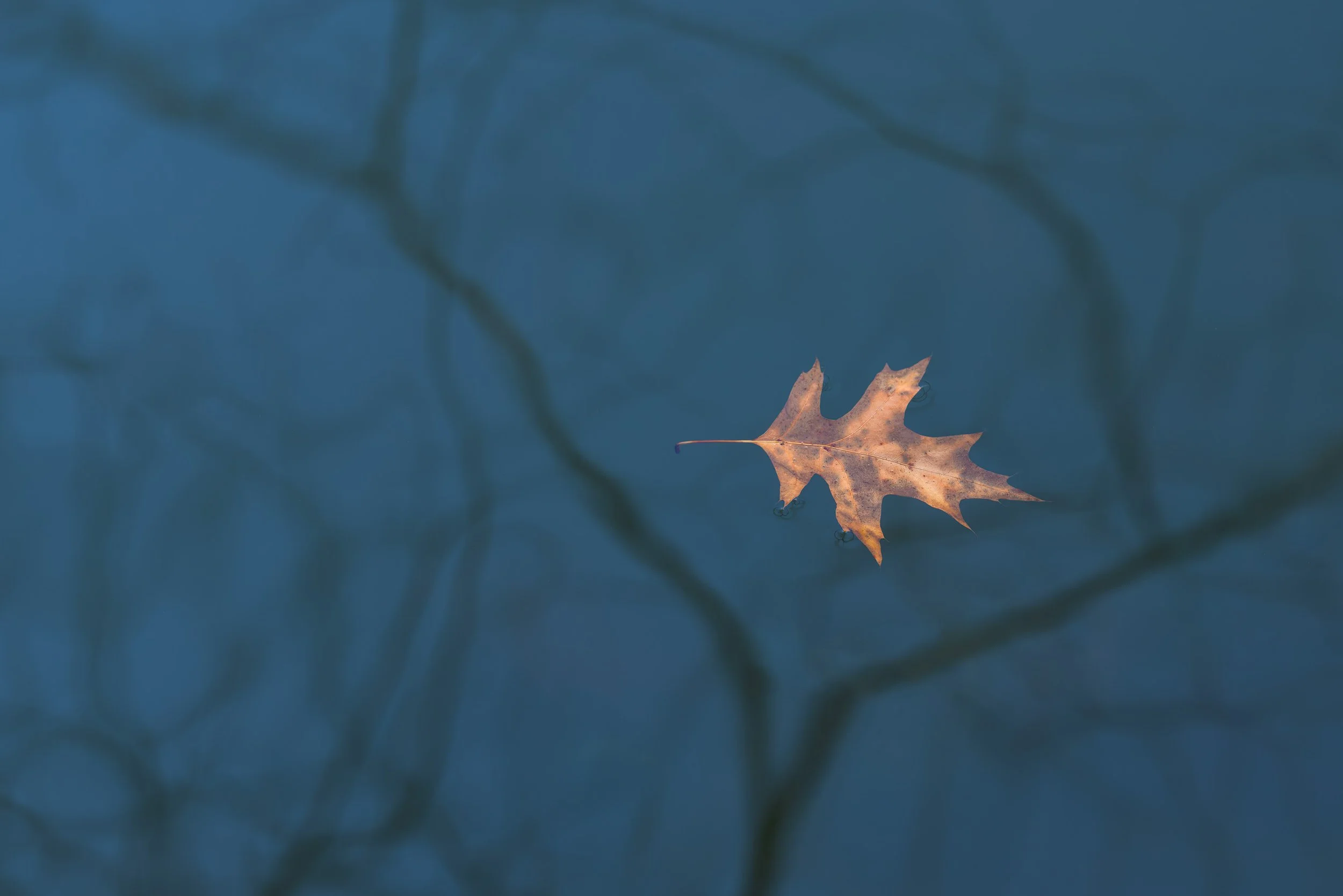 Drifting Through Reflection