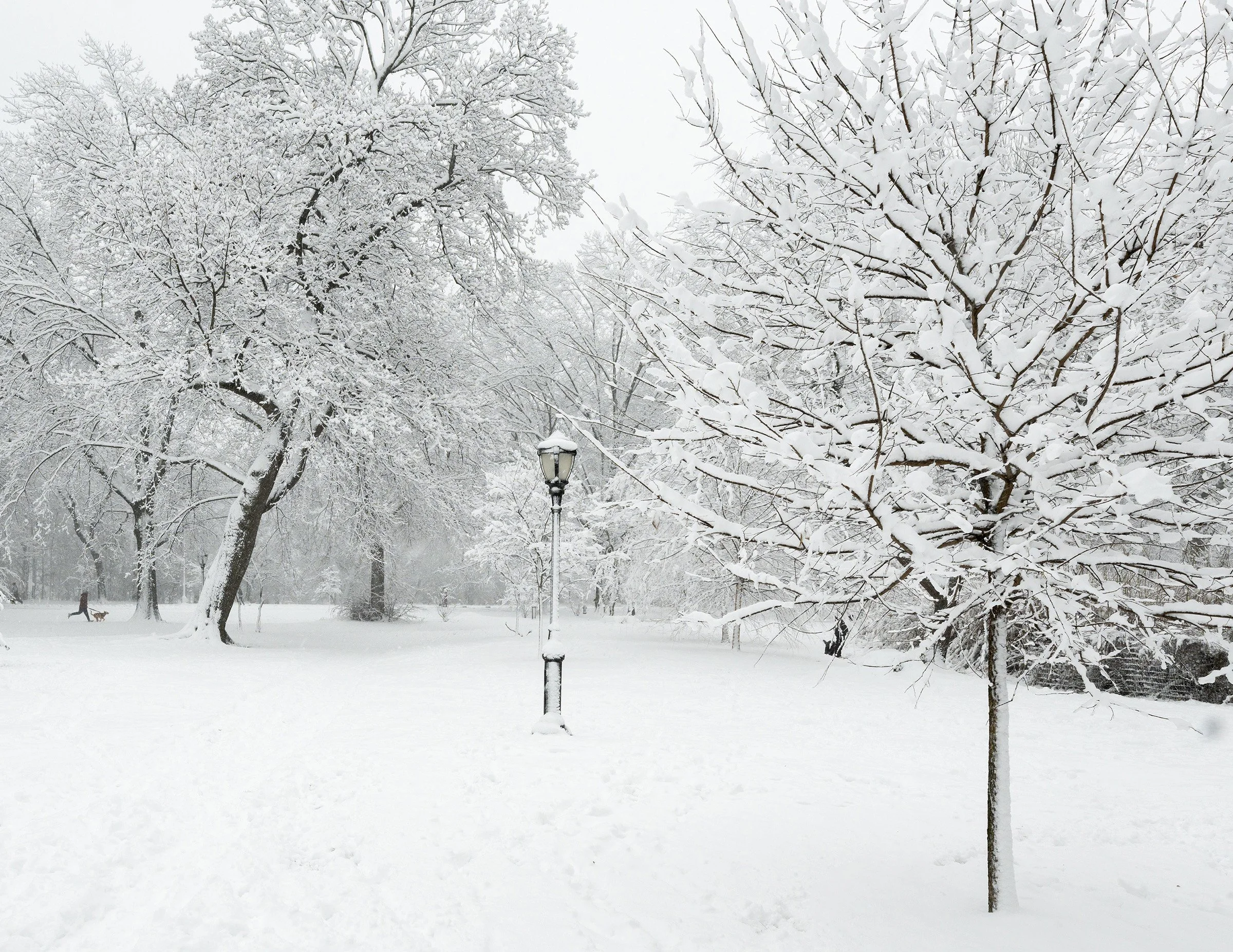 Snow-covered open landscape in Prospect Park, Brooklyn, with a person running alongside a dog through falling snow.