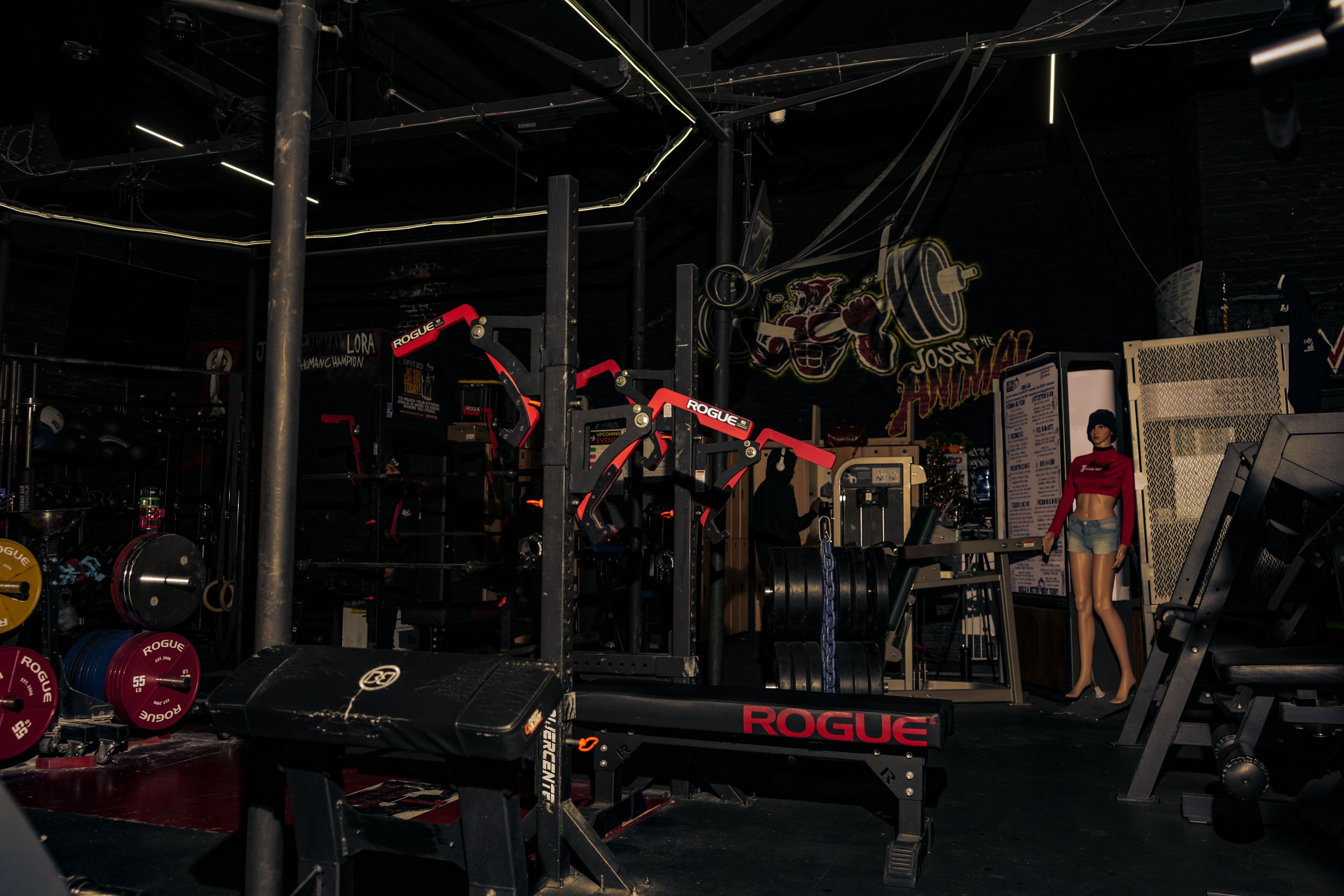 Interior of a gym with workout equipment including Rogue-branded racks, weights, and a mannequin wearing a red crop top and denim shorts.