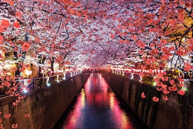 asia