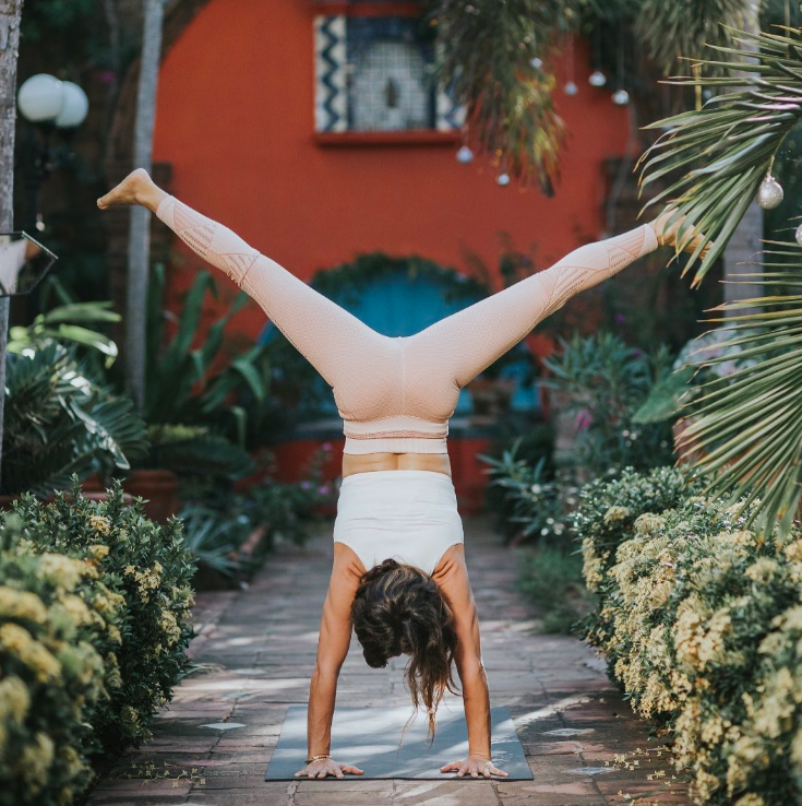 Geometric drawing of an outline square with sections divided by vertical, horizontal, and circle lines.