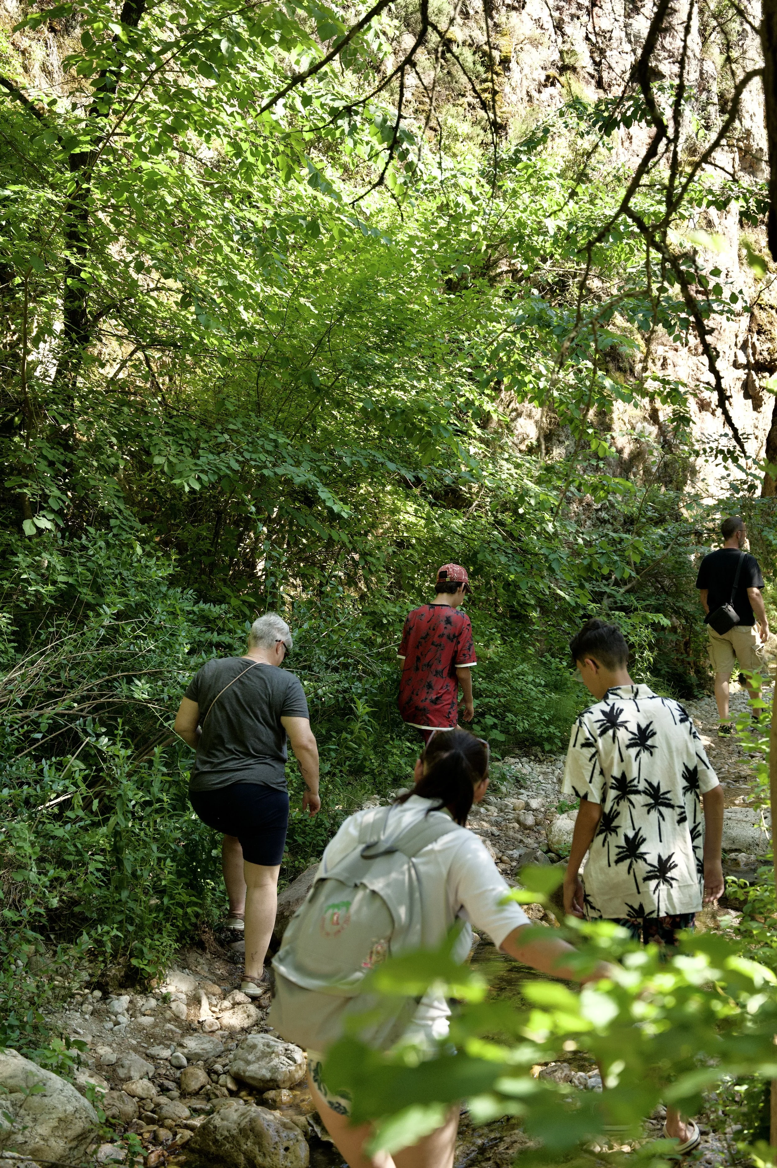 Groupe de personnes marchant dans une forêt verdoyante près d'une rivière avec un fond rocheux.