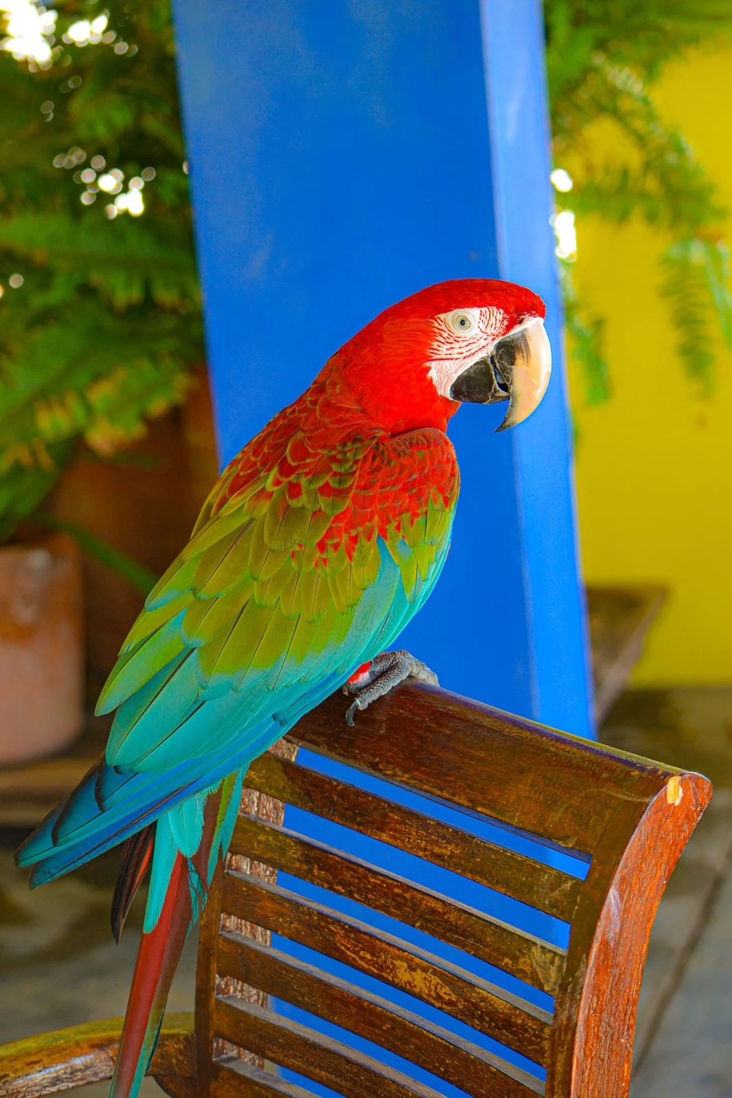 site internet-280.jpg