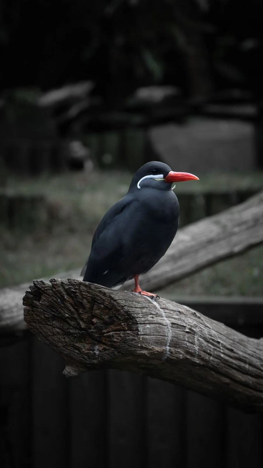 site internet-106.jpg