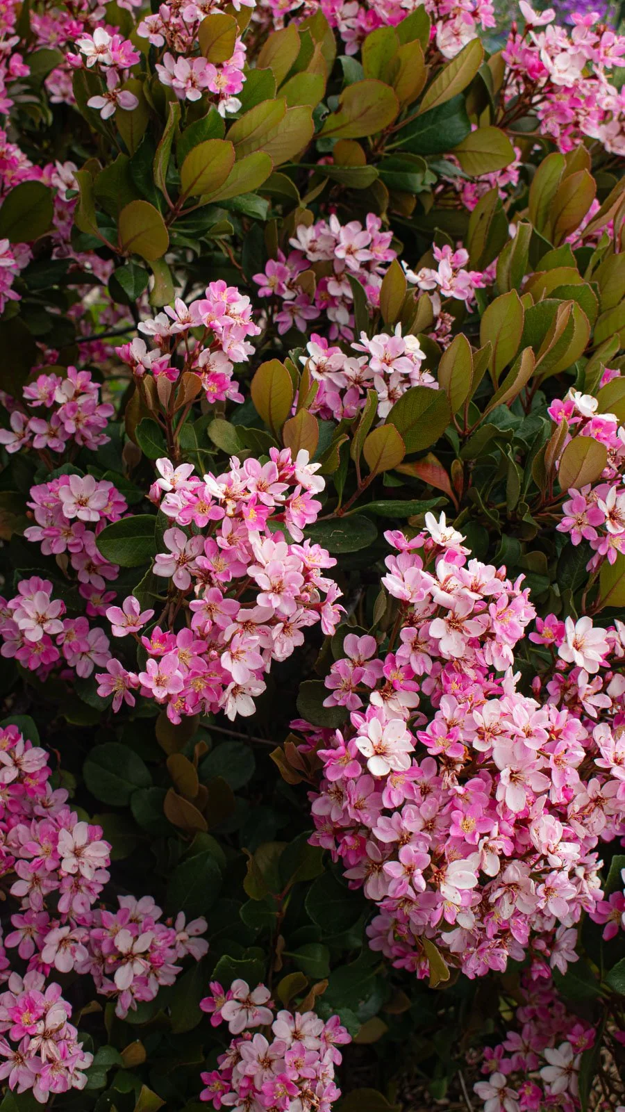 site internet-191.jpg