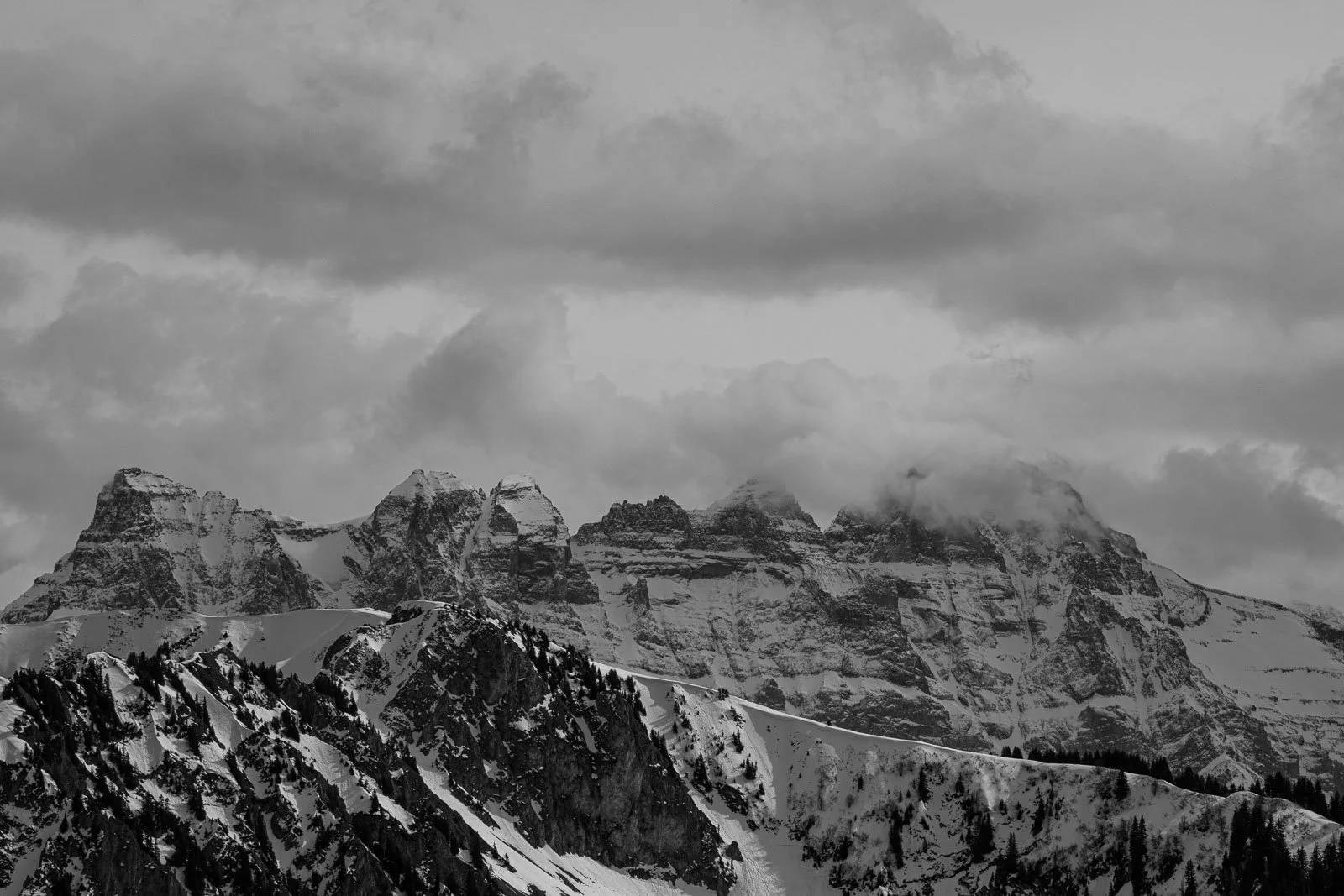 site internet-232.jpg