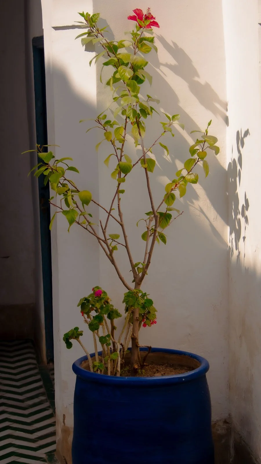 site internet-223.jpg