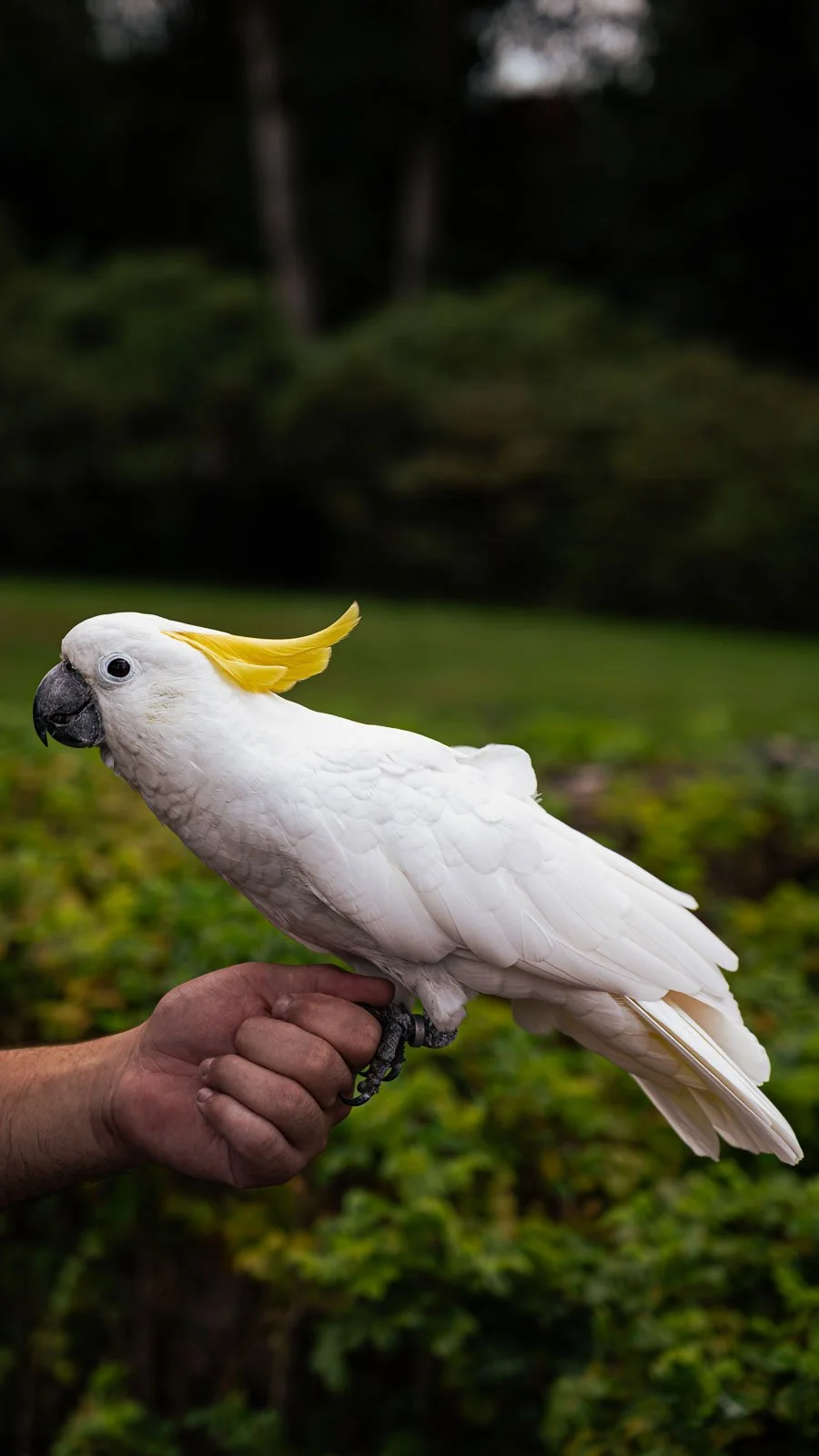 site internet-107.jpg