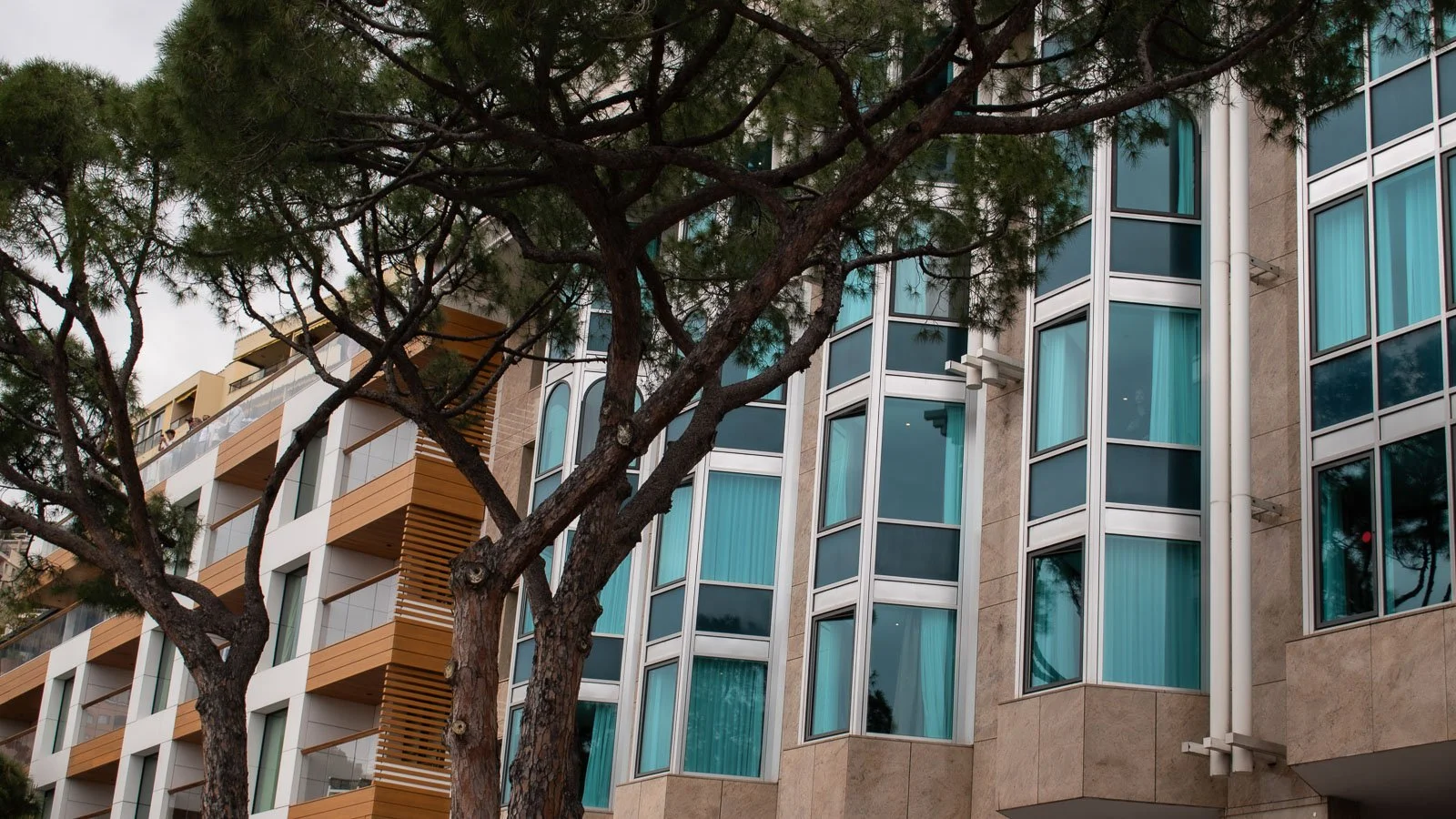 site internet-203.jpg