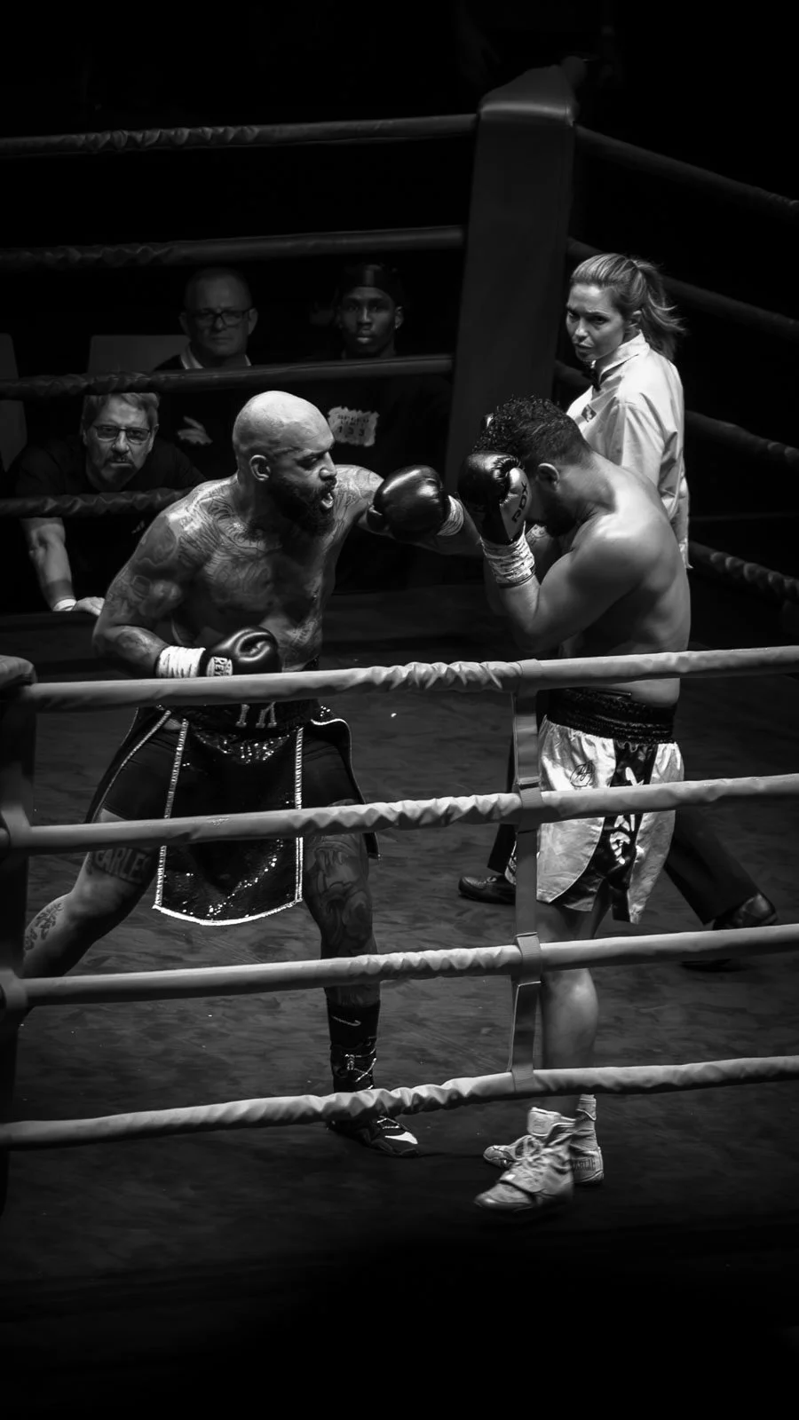 site internet-044.jpg