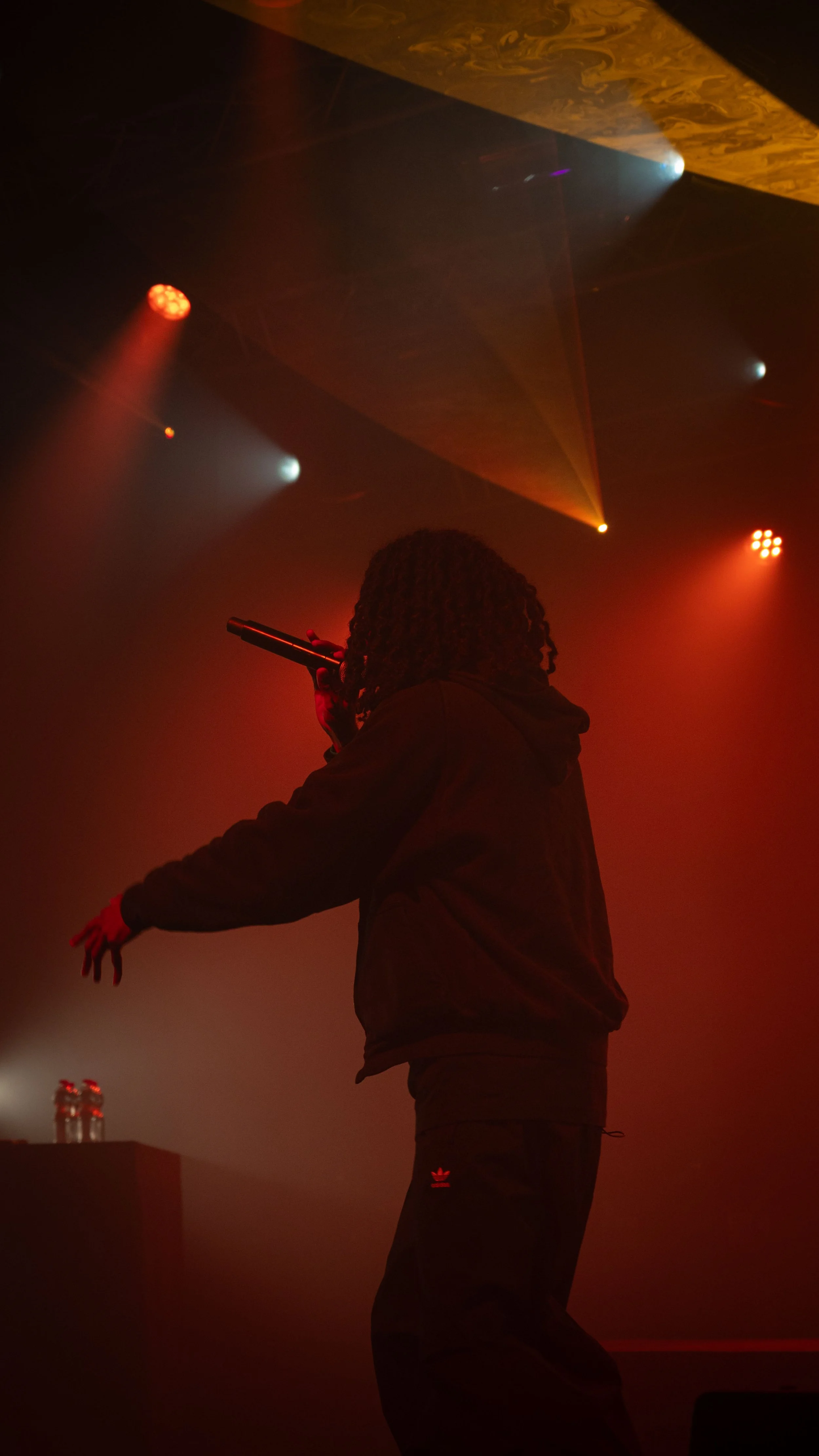 Un chanteur avec des dreadlocks chante dans un microphone dans une ambiance sombre et colorée avec des lumières de scène rouges et blanches.