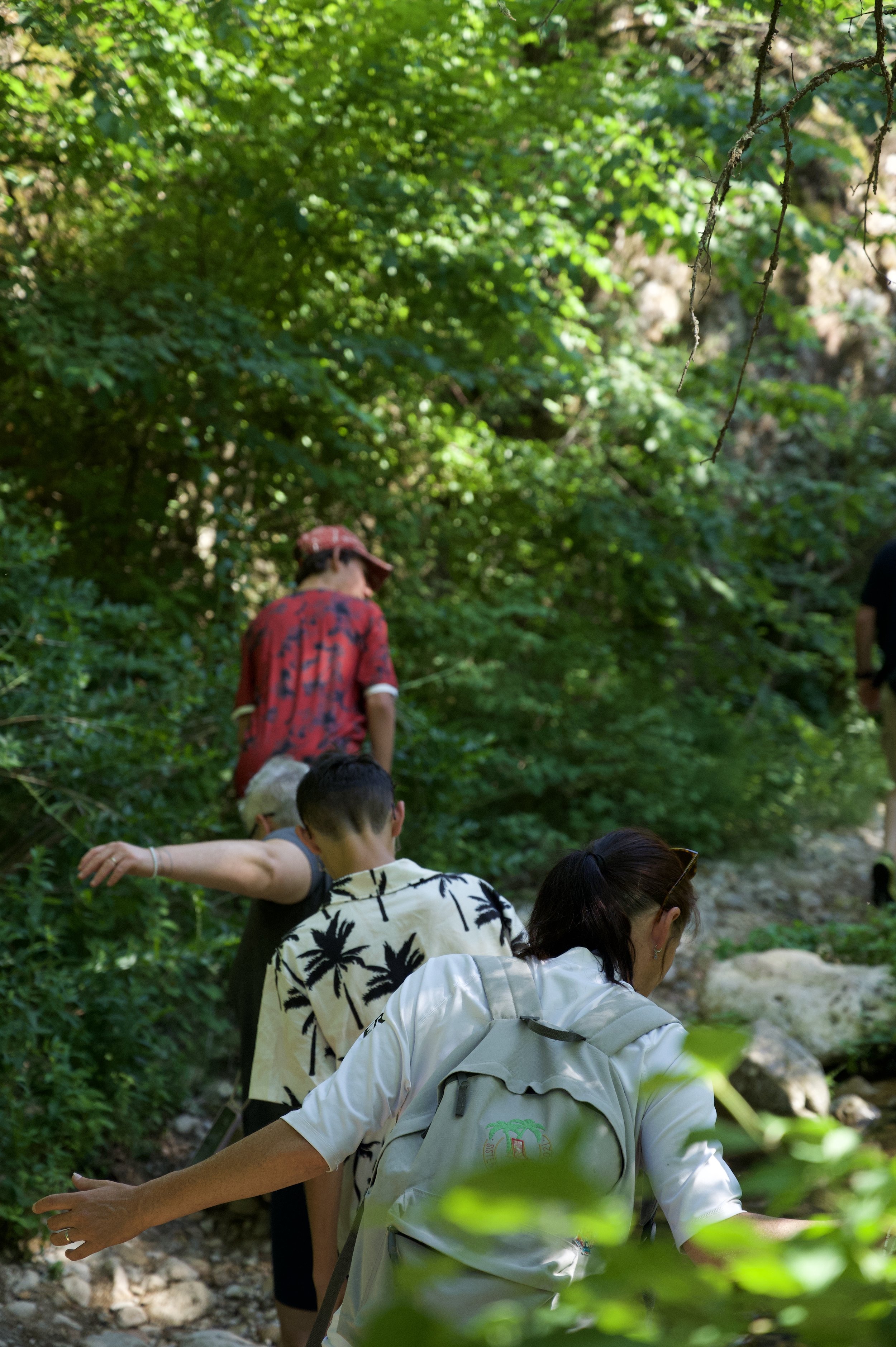 Groupe de personnes marchant dans une forêt dense, entouré de feuillage vert, lors d'une excursion ou randonnée.