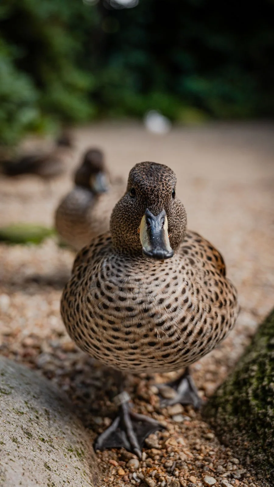 site internet-104.jpg