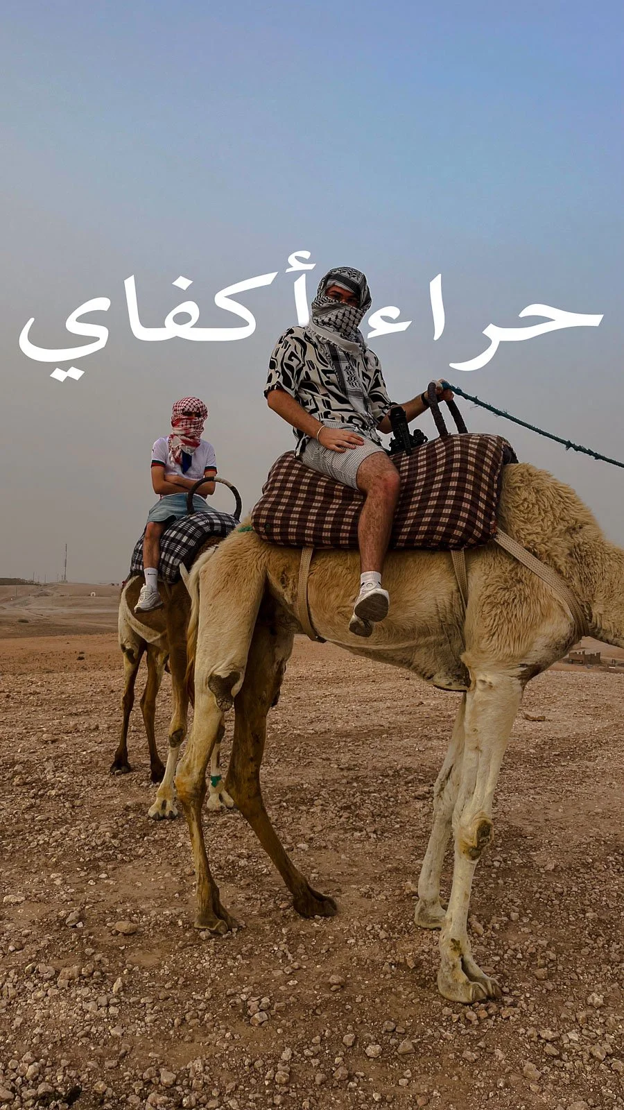 site internet-216.jpg