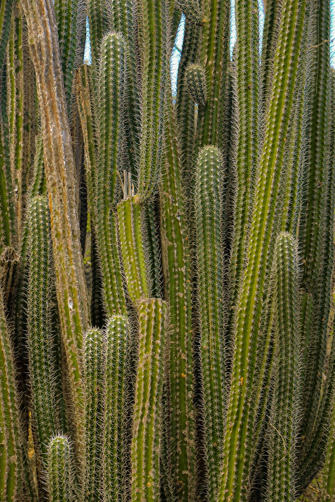 site internet-275.jpg