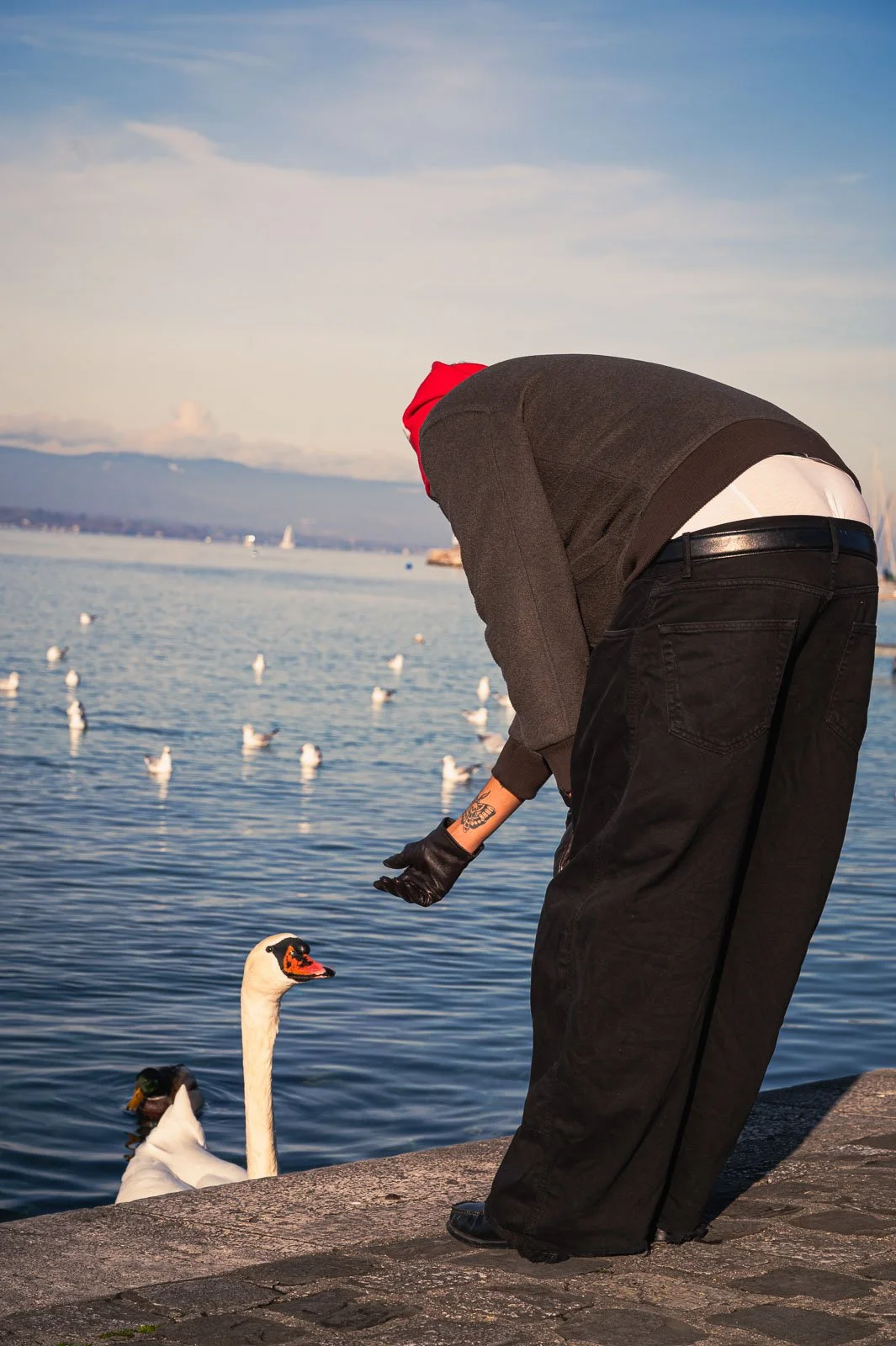 site internet-016.jpg