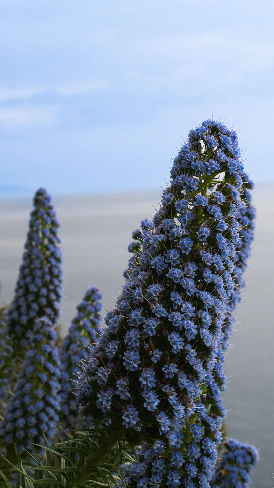 site internet-192.jpg