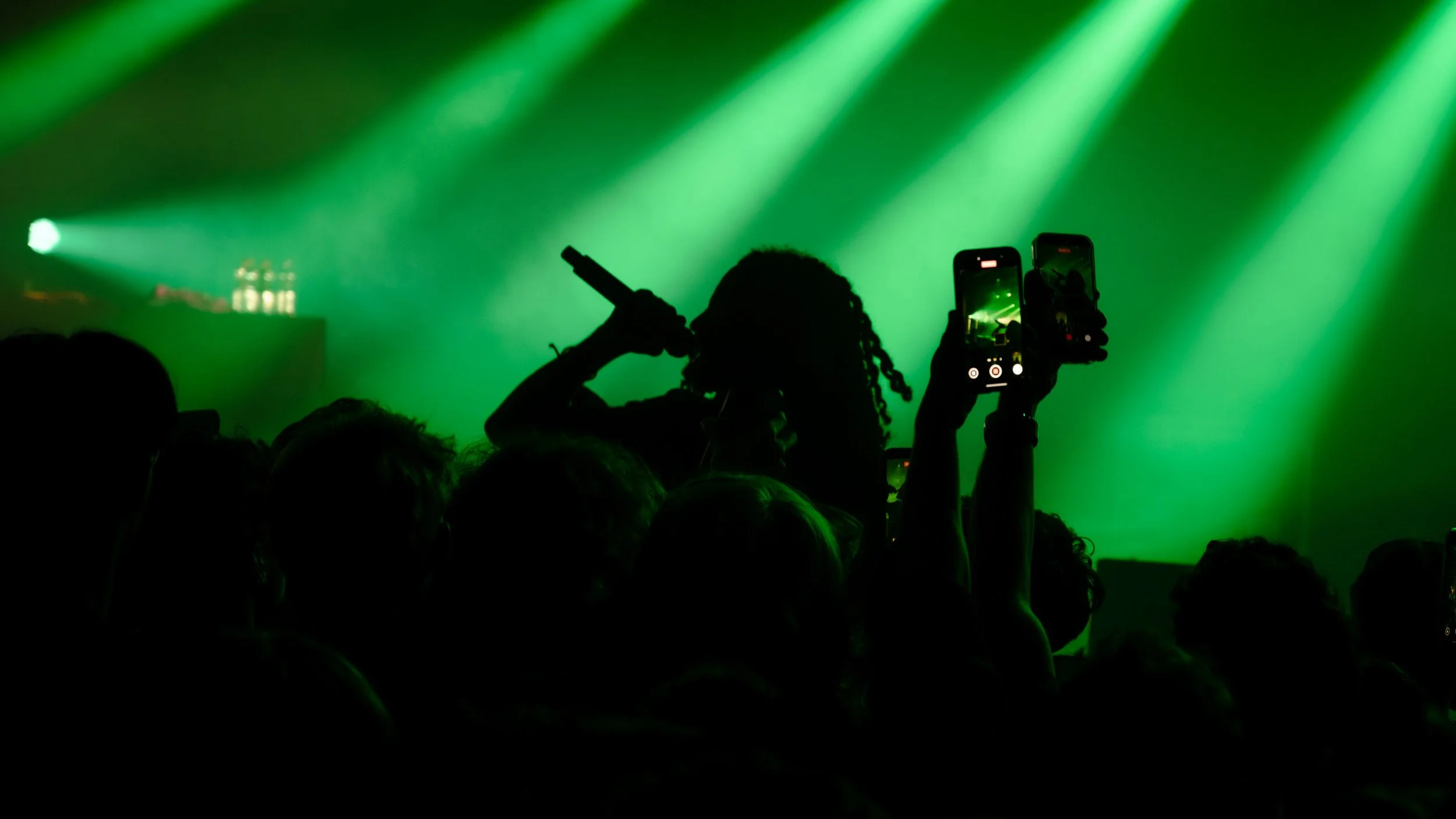 Silhouette de personnes dans un public lors d'un concert ou spectacle avec un éclairage vert intense.