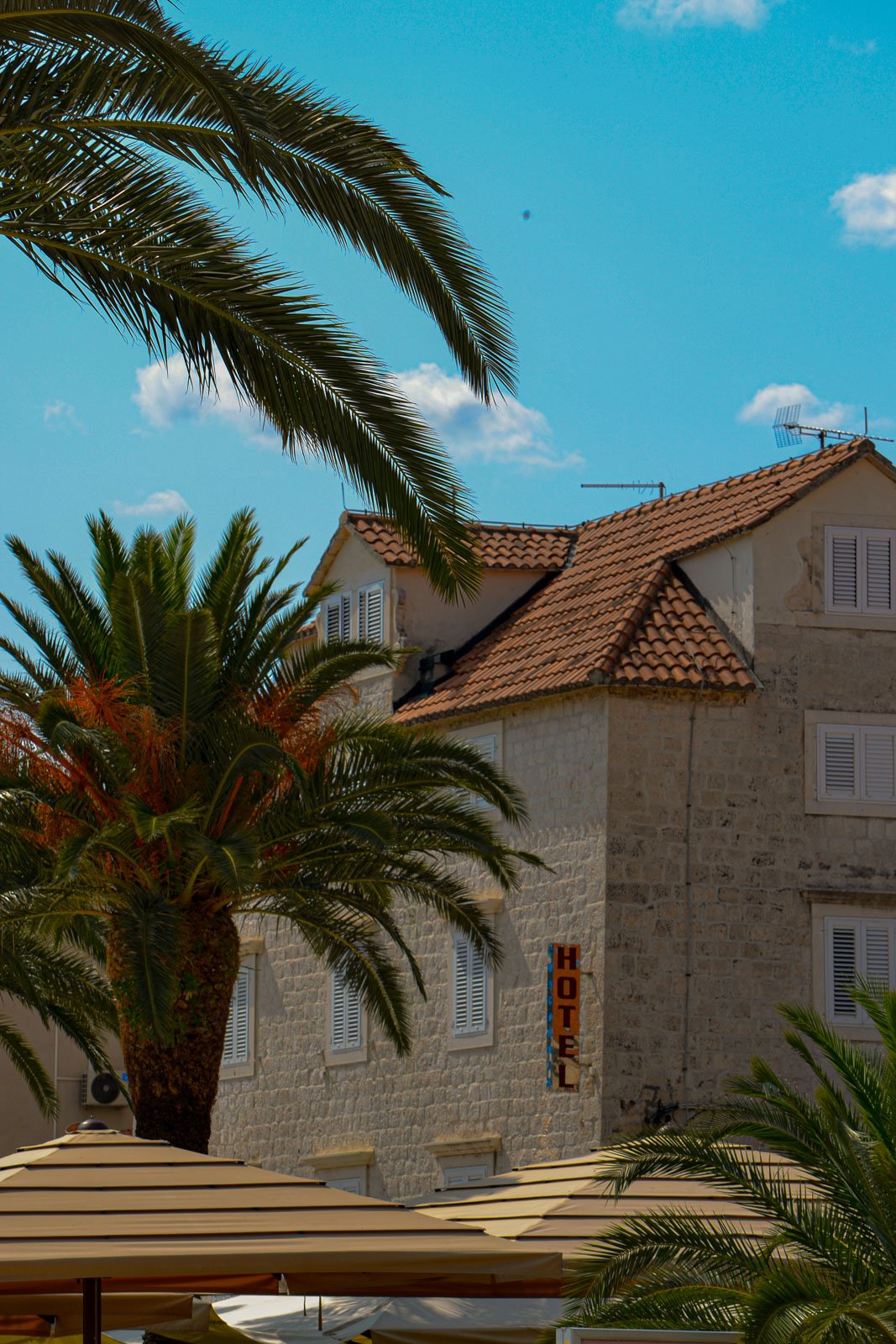 site internet-294.jpg