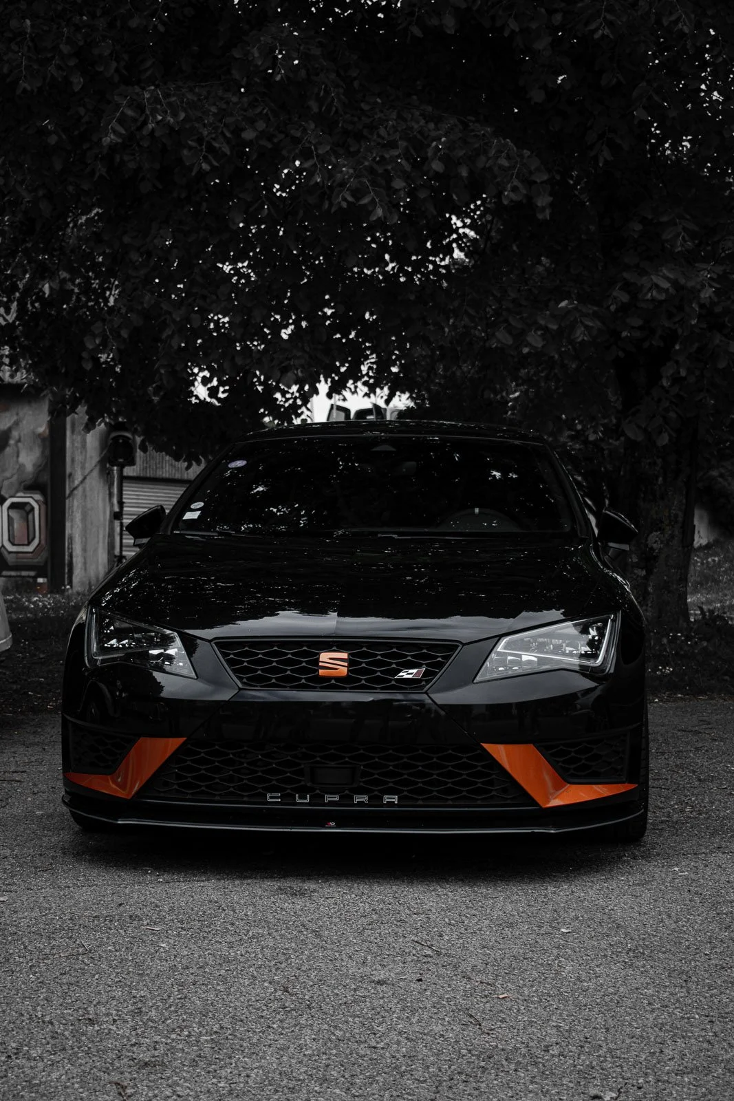 site internet-180.jpg