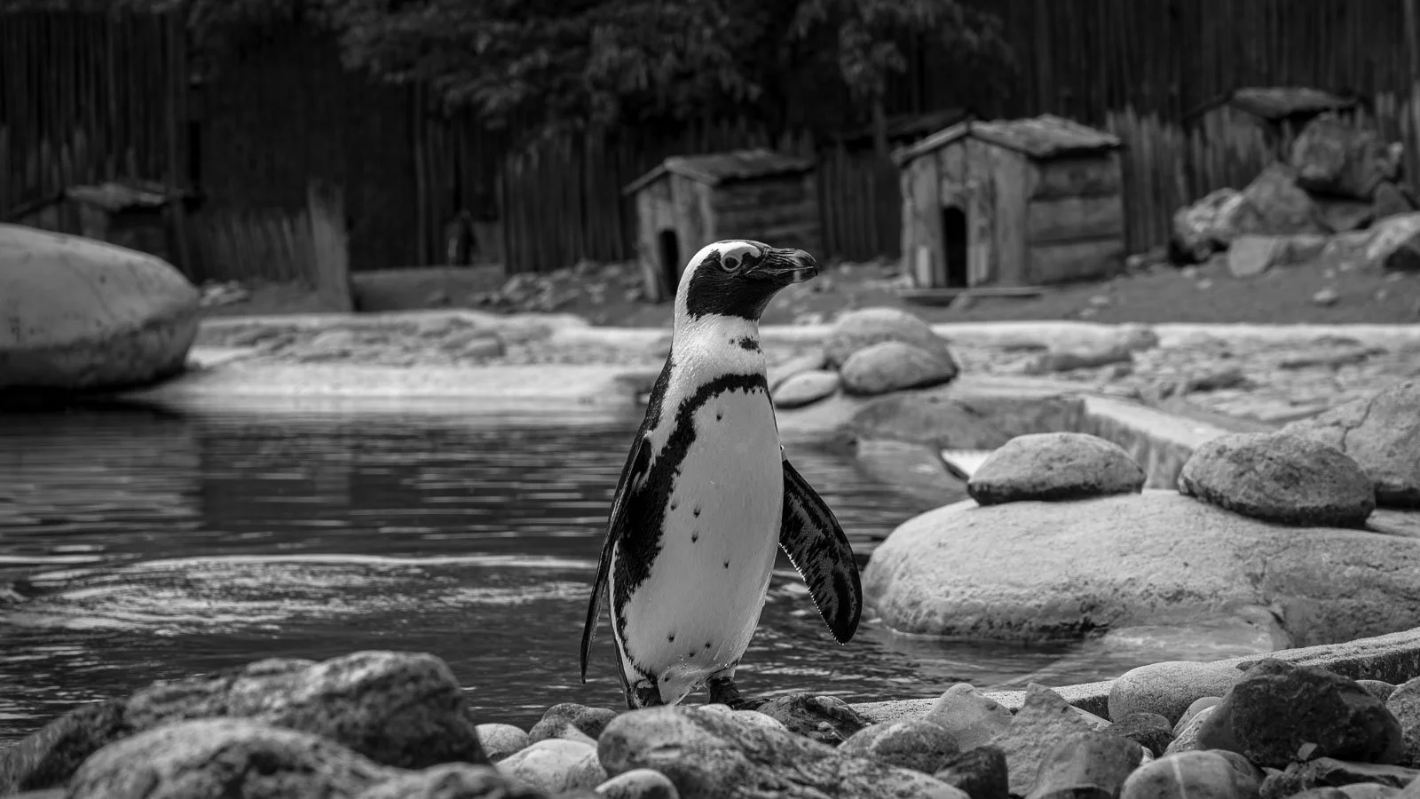 site internet-095.jpg