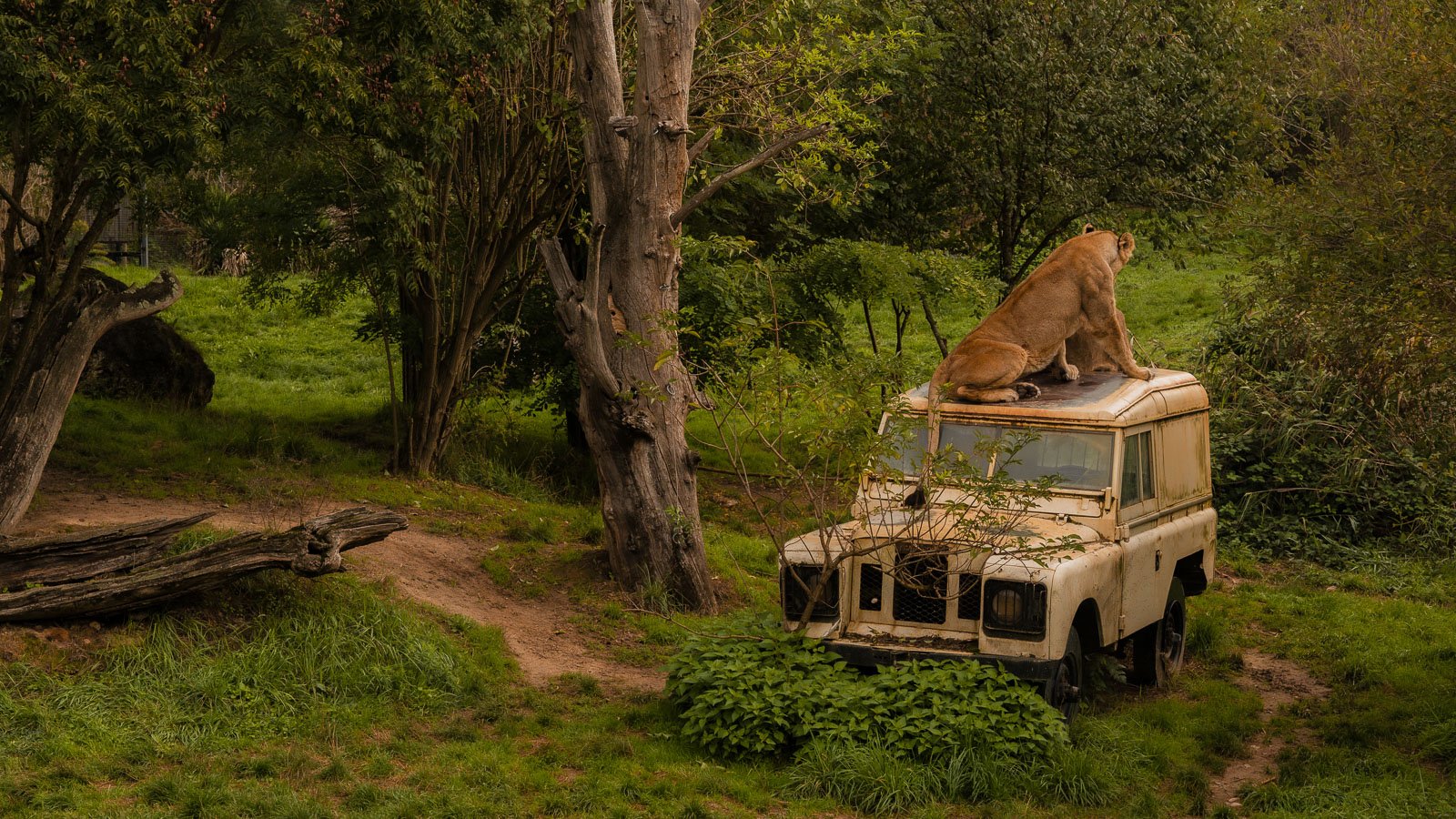 site internet-098.jpg