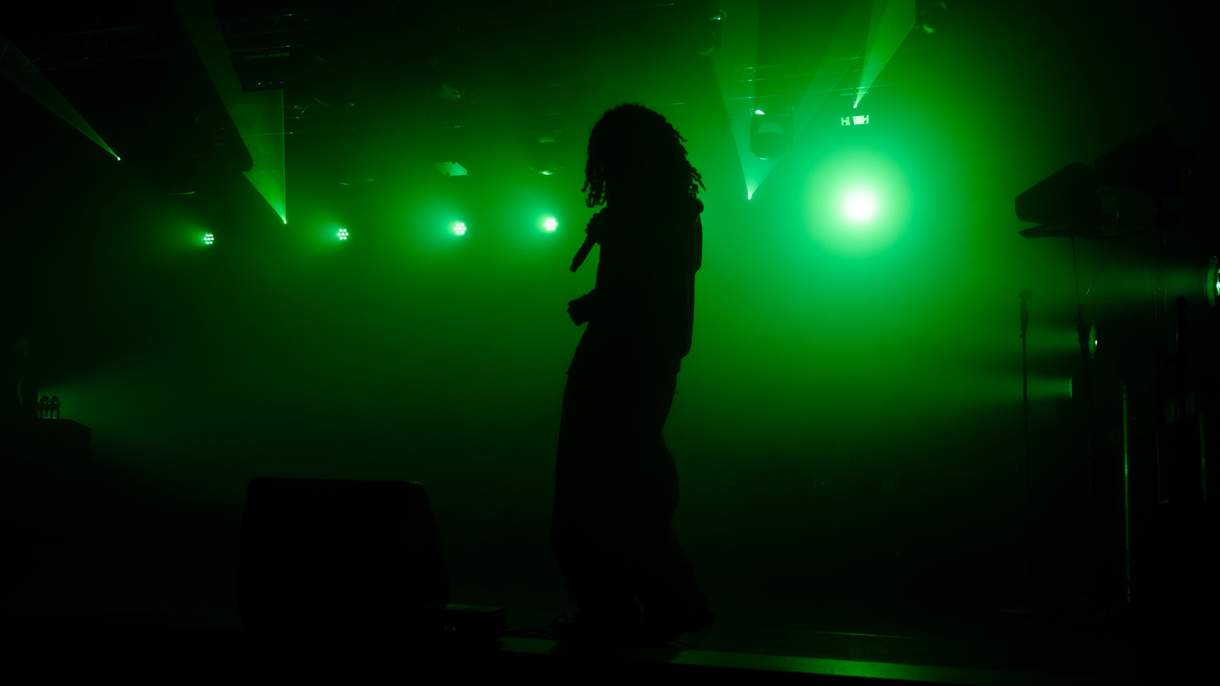 Silhouette d'une personne avec une dreadlocks, debout dans une scène sombre éclairée par des lumières vertes, avec des faisceaux lumineux et de la fumée ou de la brume dans l'air, créant une atmosphère de concert ou de spectacle.