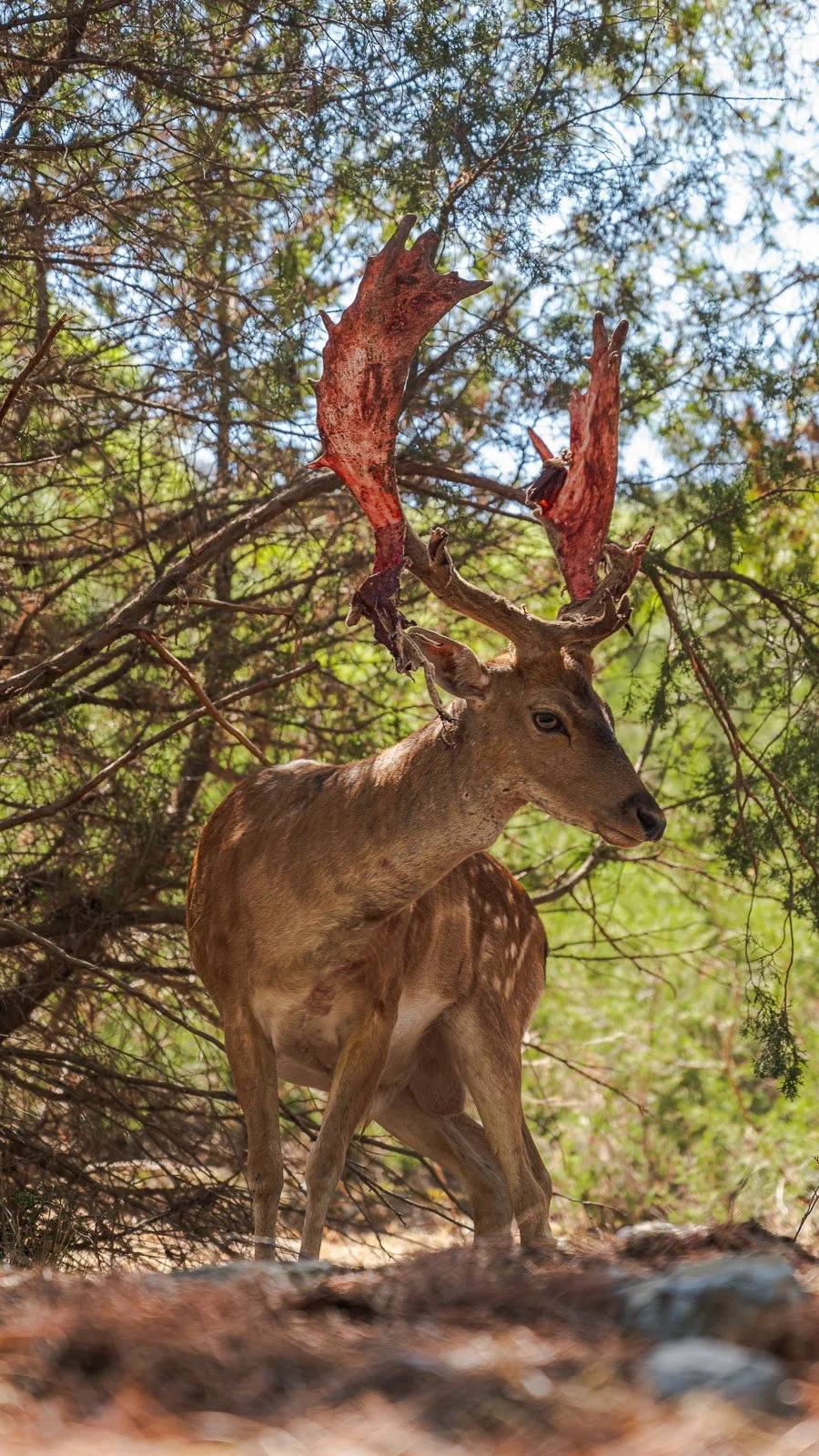 site internet-116.jpg