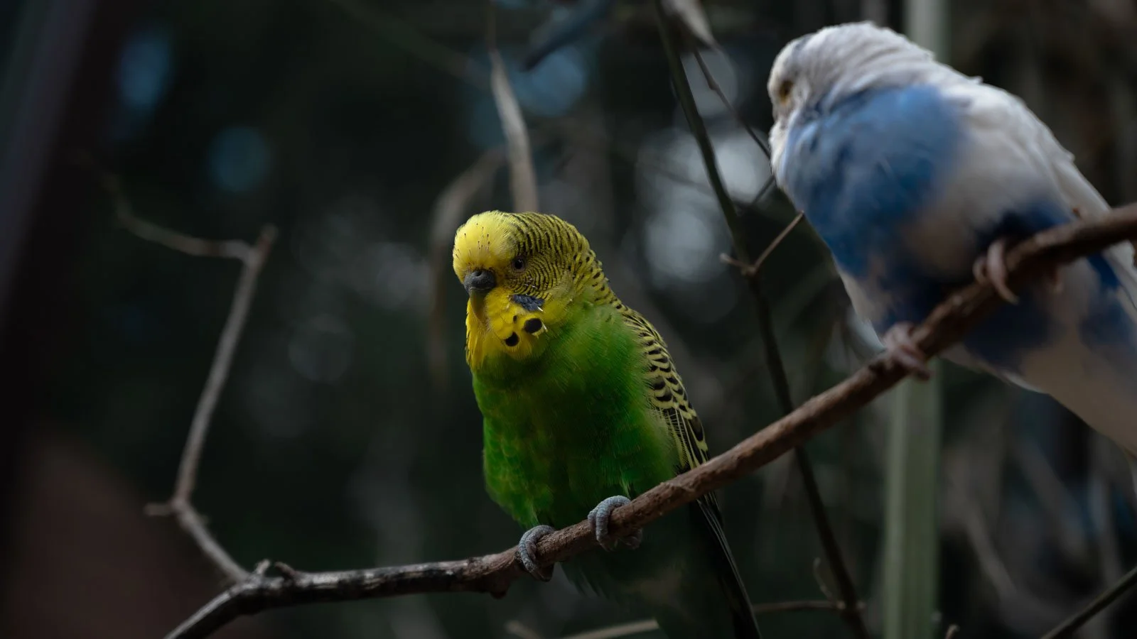 site internet-103.jpg