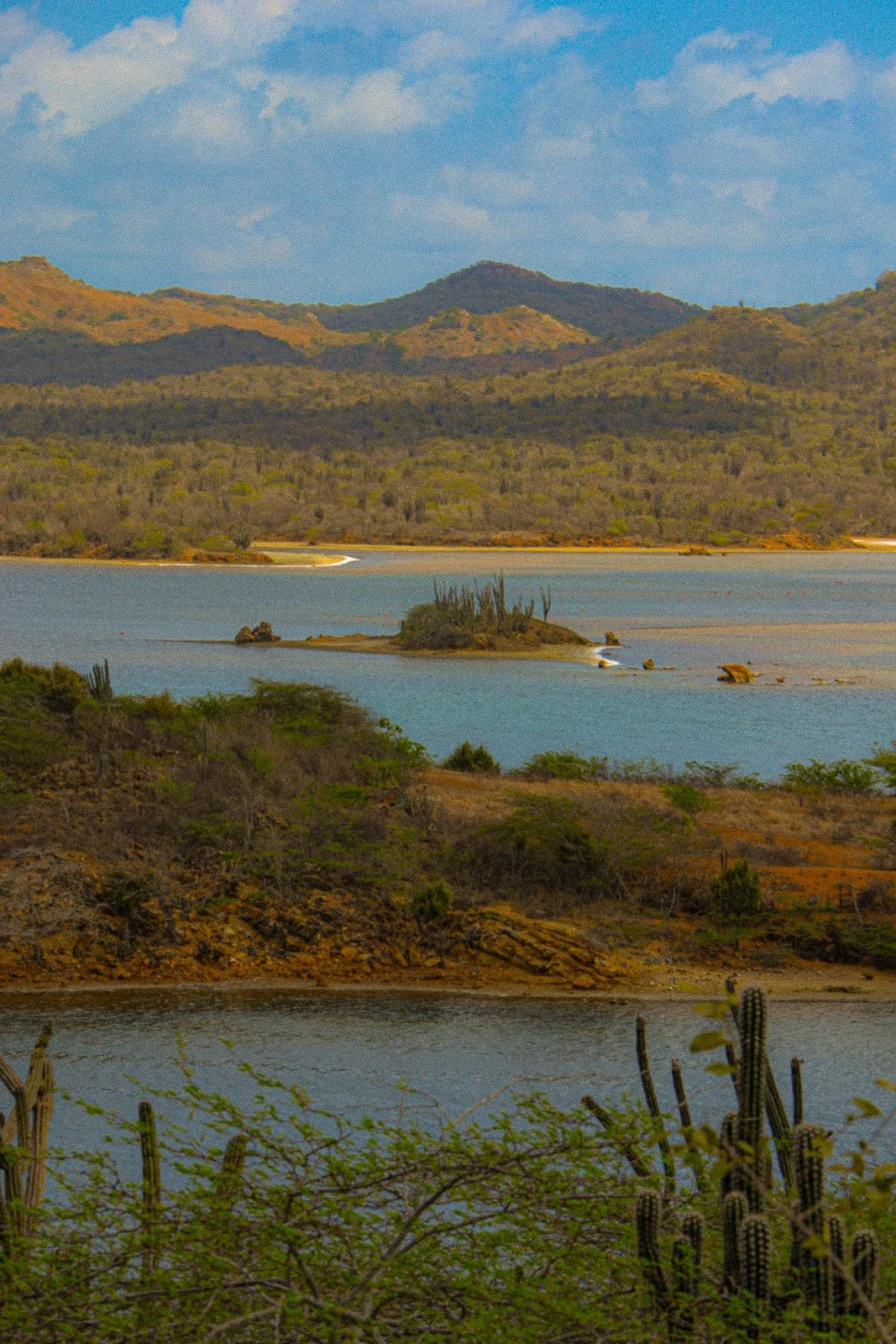 site internet-277.jpg