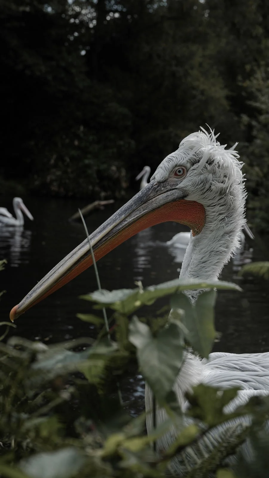 site internet-110.jpg