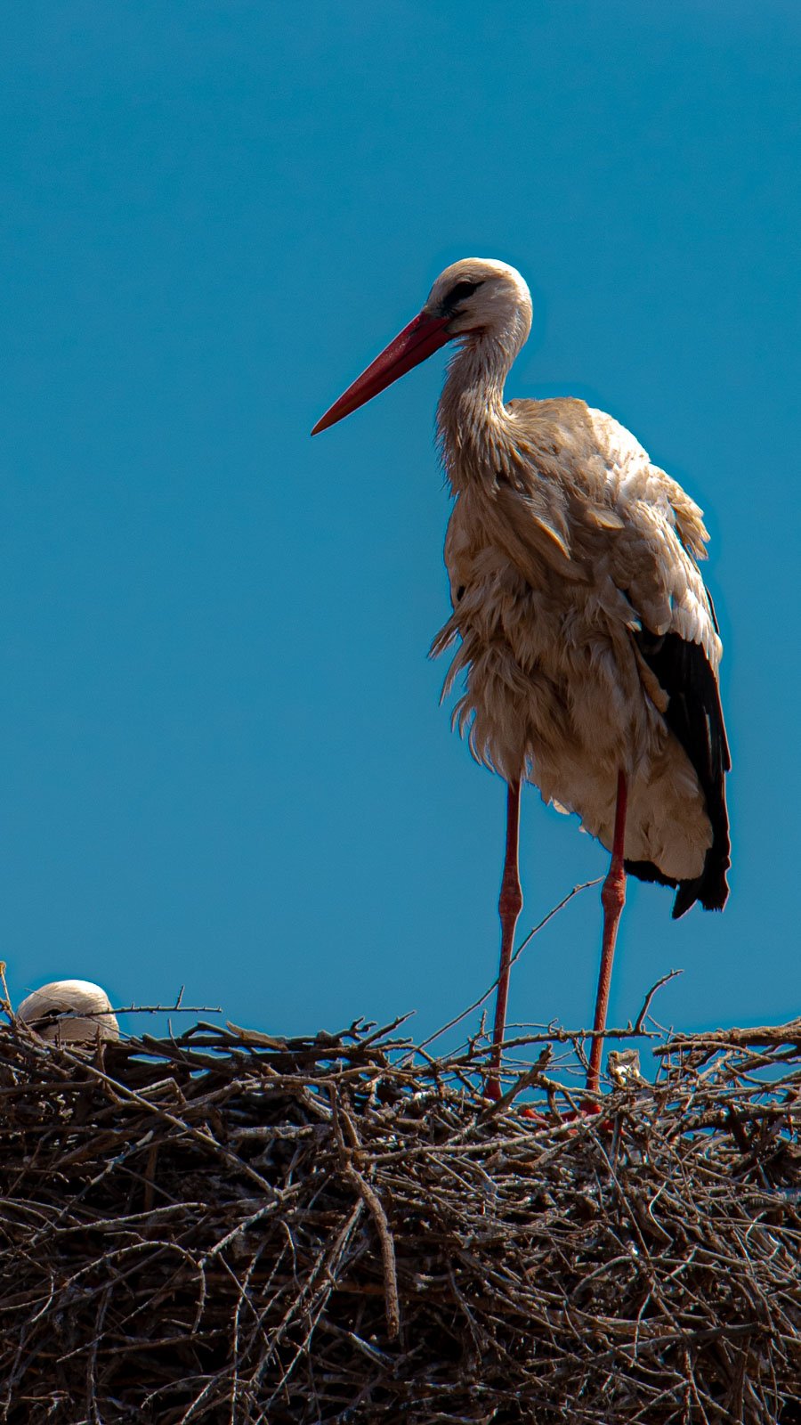 site internet-224.jpg