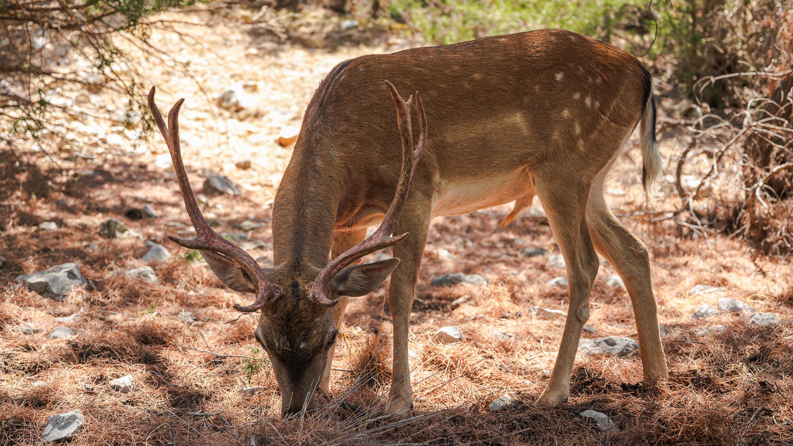 site internet-115.jpg