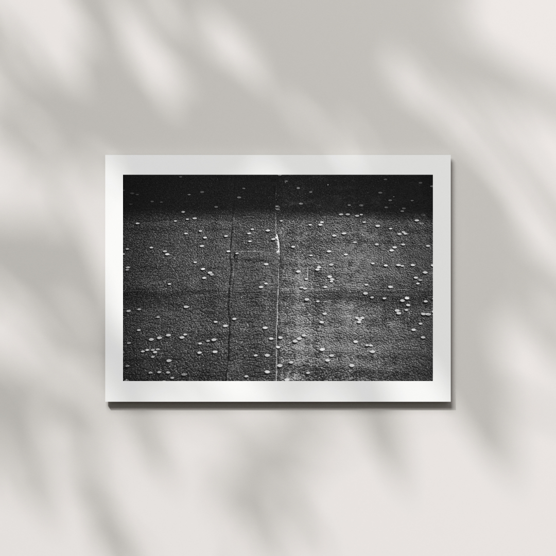 Coins on the Rooftop