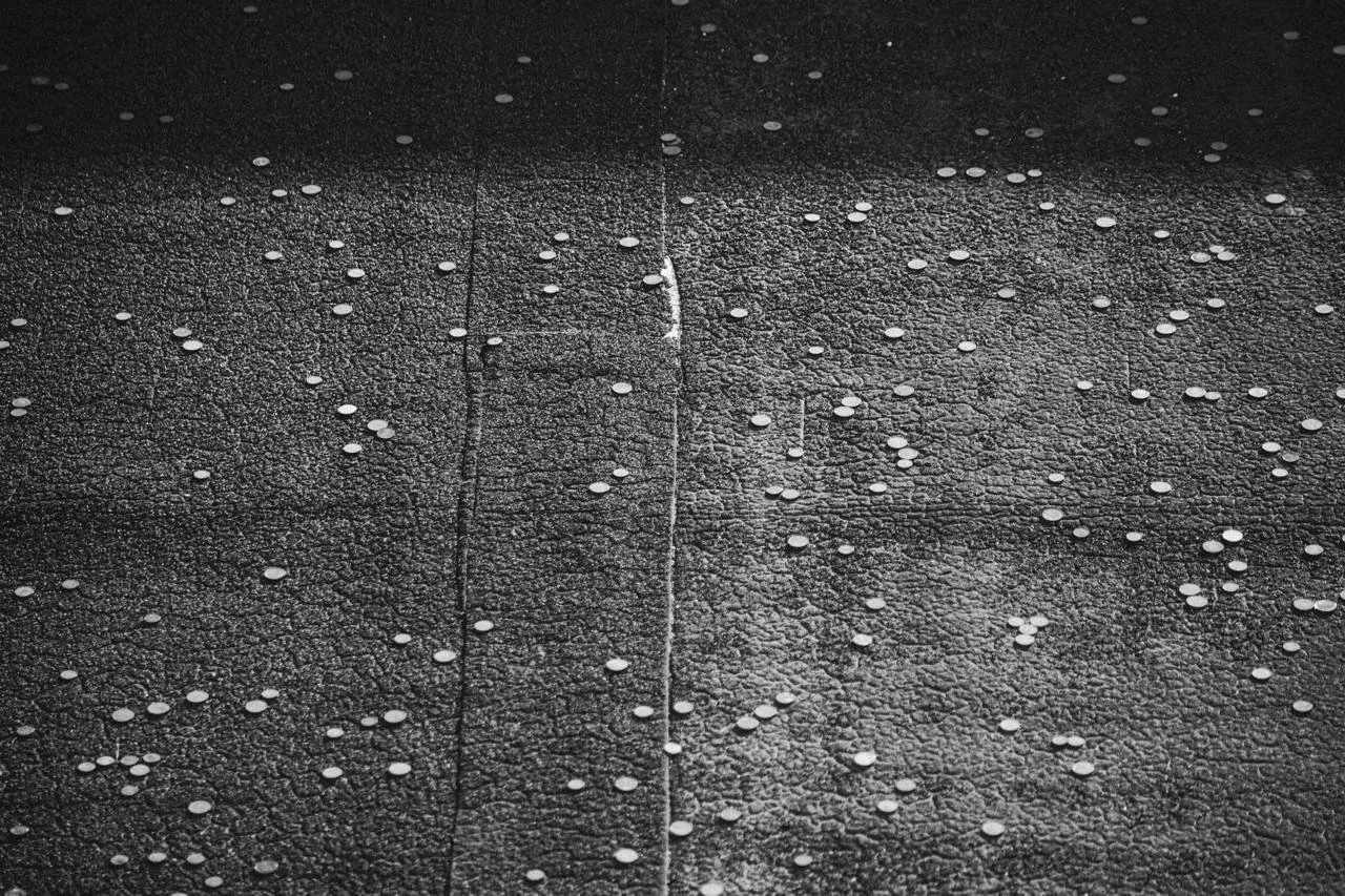 PHOTO-2026-03-09-22-50-55 3.jpg