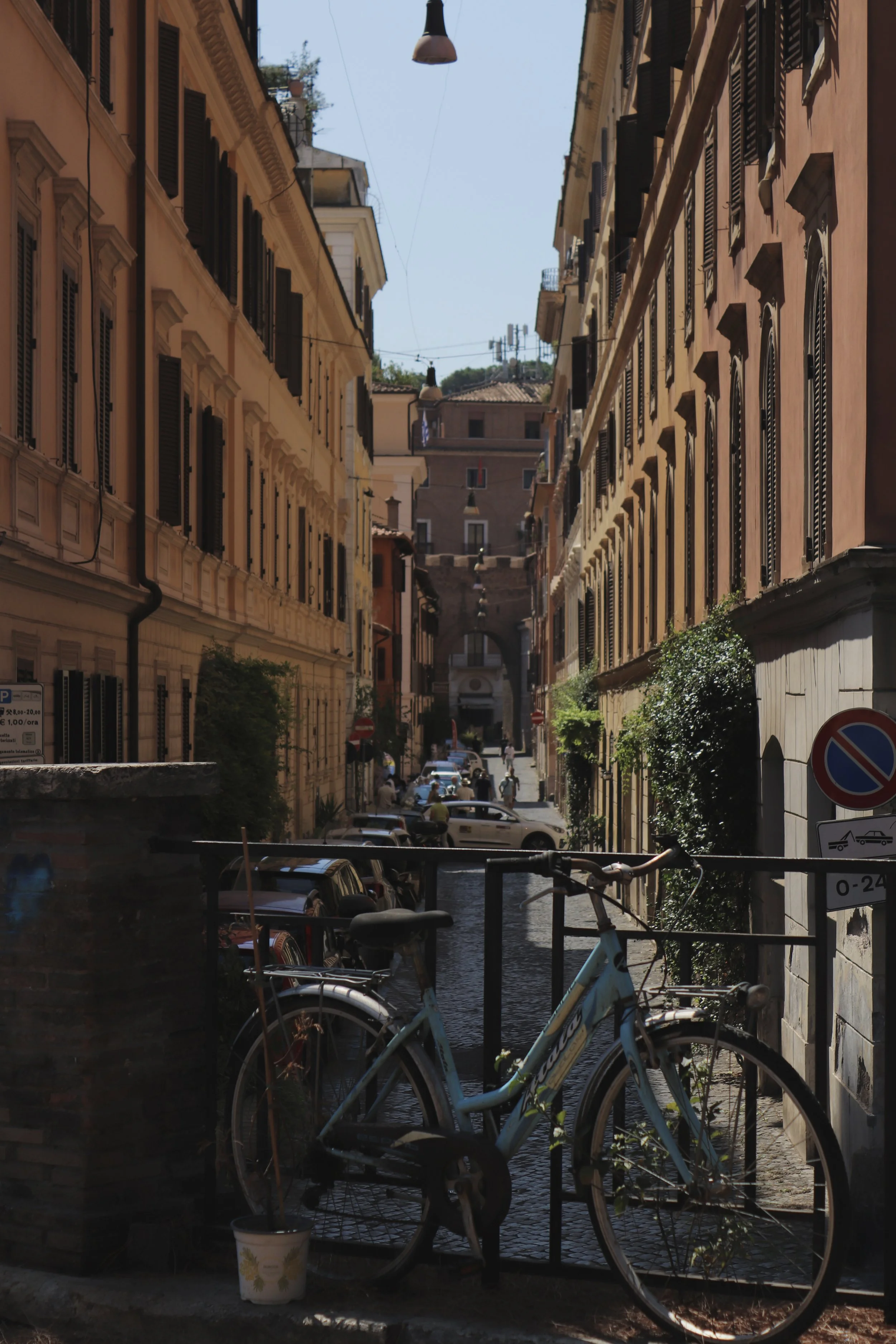 IMG_0459 5 Edited.jpg