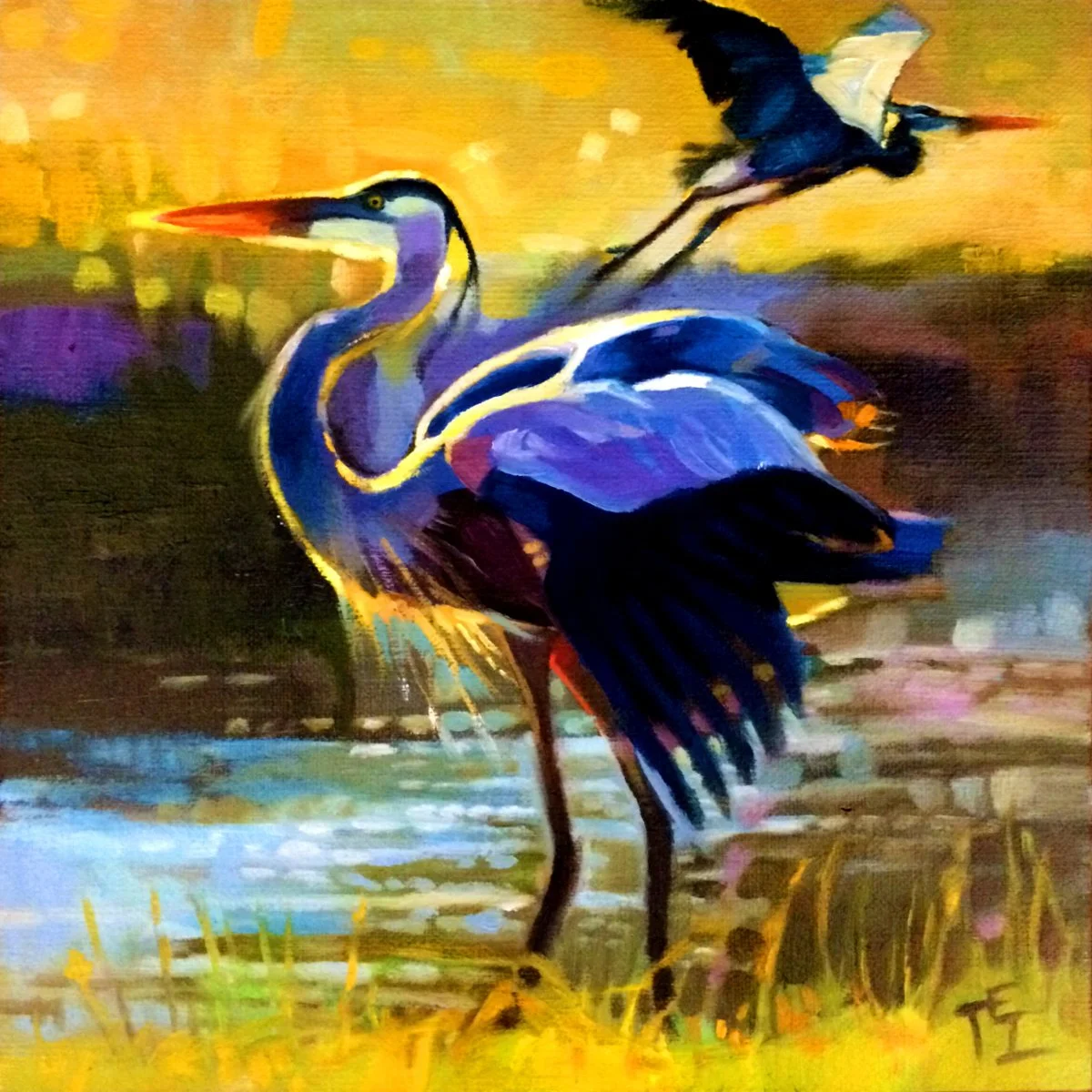 "Two Herons" 10x10 oil on panel, commission. Private collection.