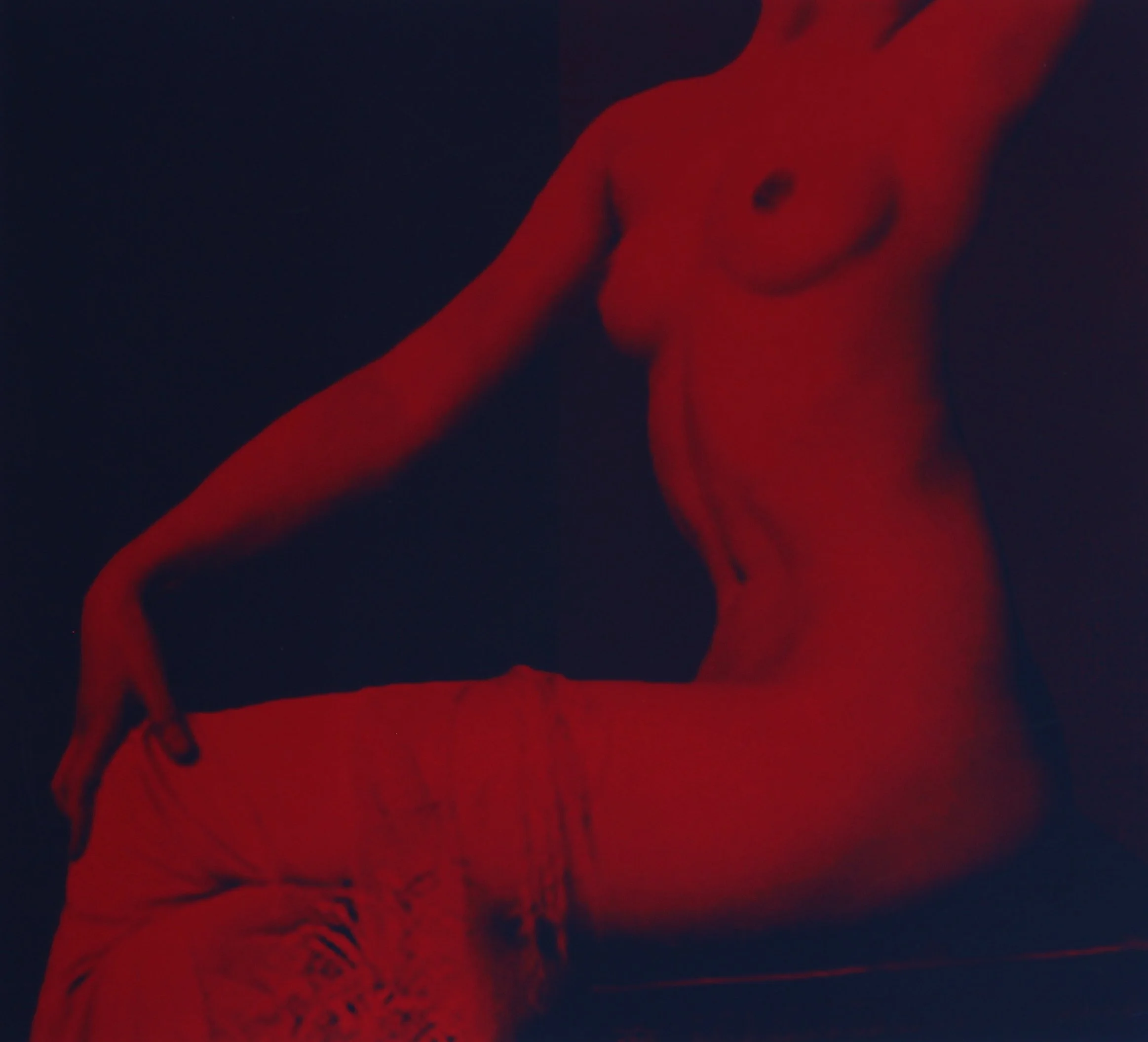 Polaroid 2, 2018, Screenprint on Somerset Satin Paper 300gsm, Paper Size: 70.3 x 66.2 cm 
Print Size: 59.9 x 54.5 cm, Edition of 4
