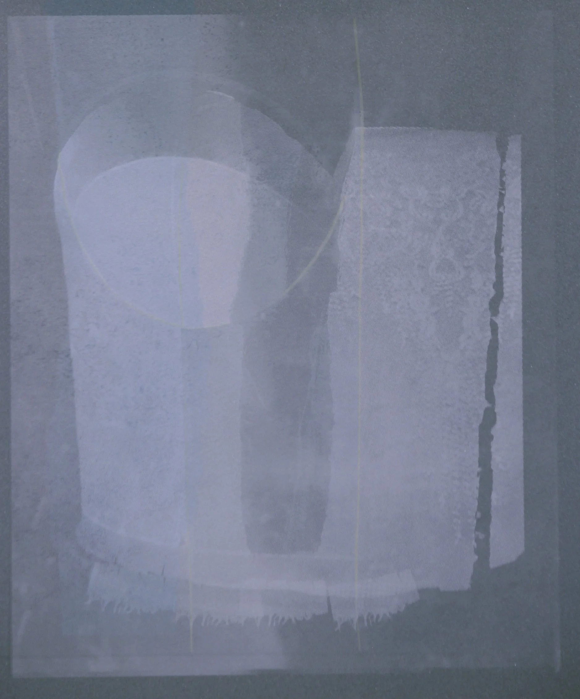 Corset: Decomposition 2, 2021, Screen Print on Somerset Satin Paper 300 gsm, Paper Size: 29.2 x 35 cm; Print Size: 29.2 x 35 cm, Edition of 4
