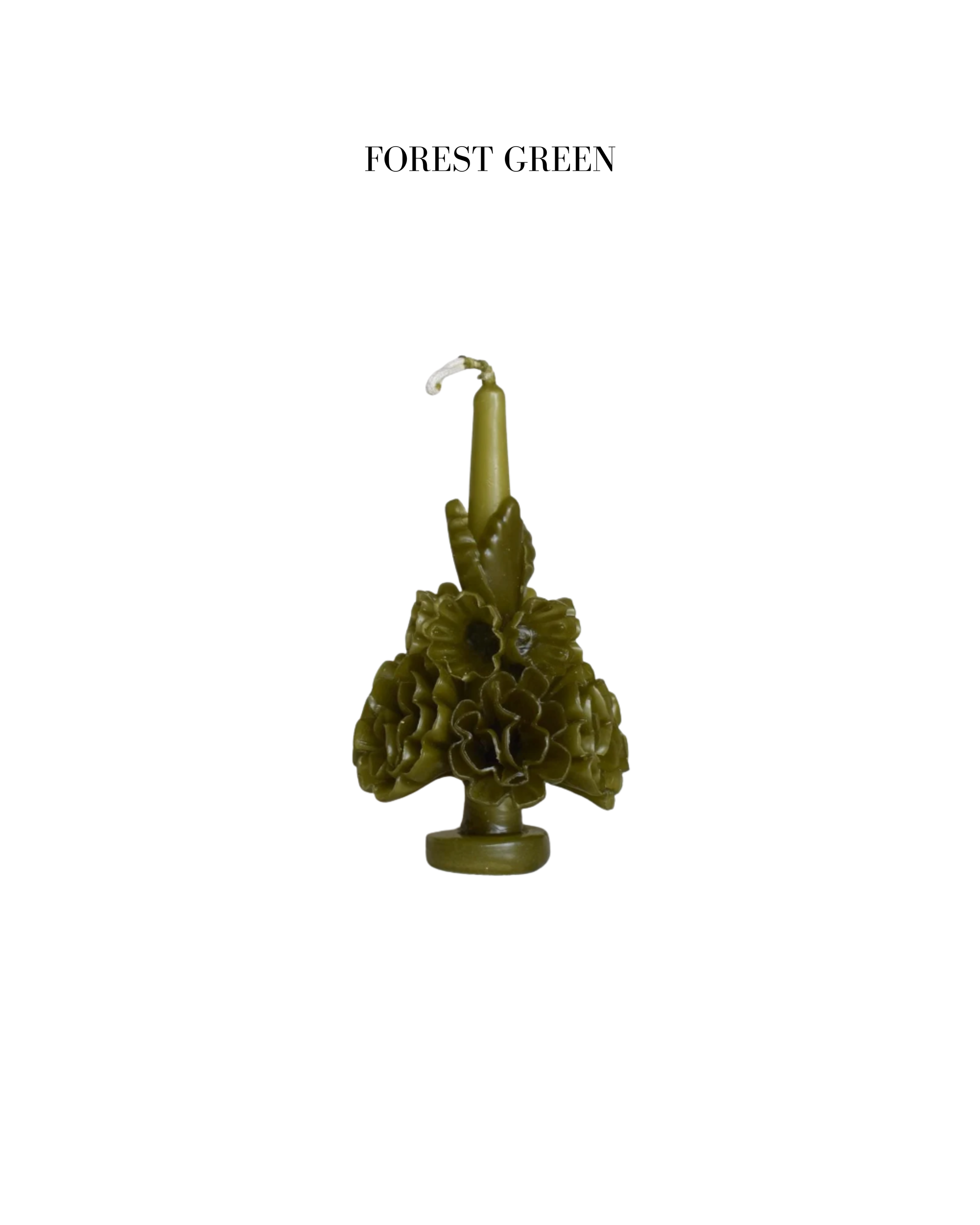 Your paragraph text (22).png