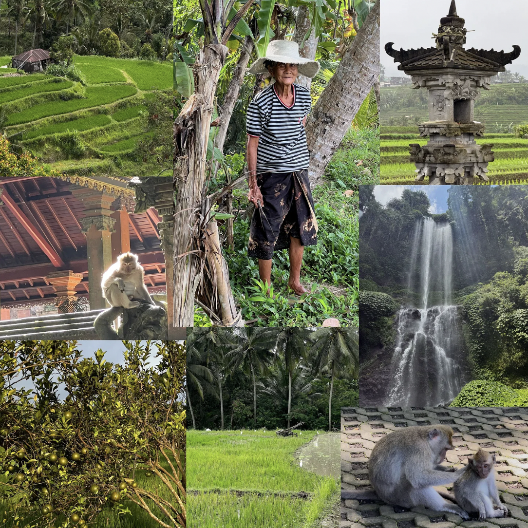The Ubud, Bali Edit | Outdoor