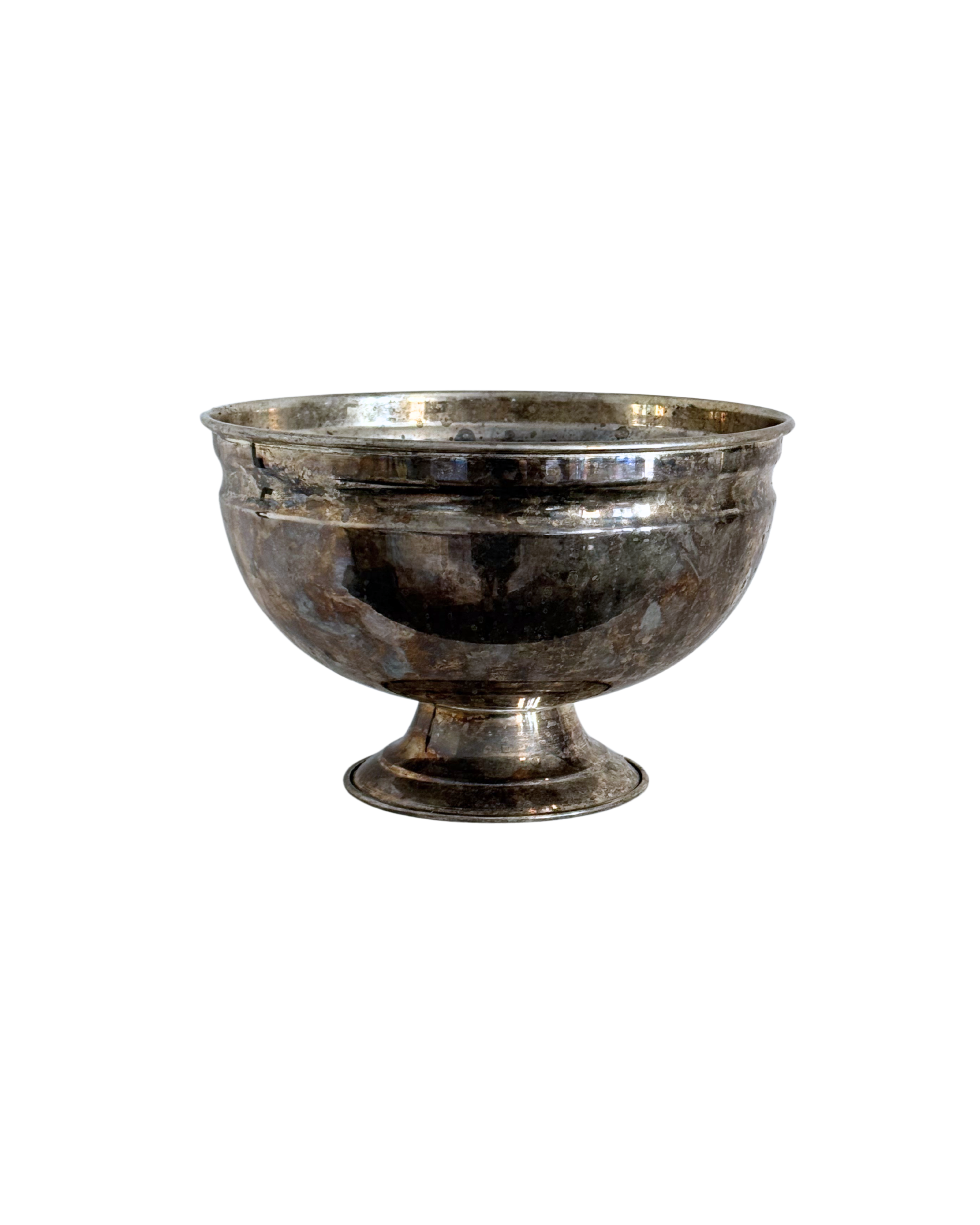 Copy of Your paragraph text (6).png