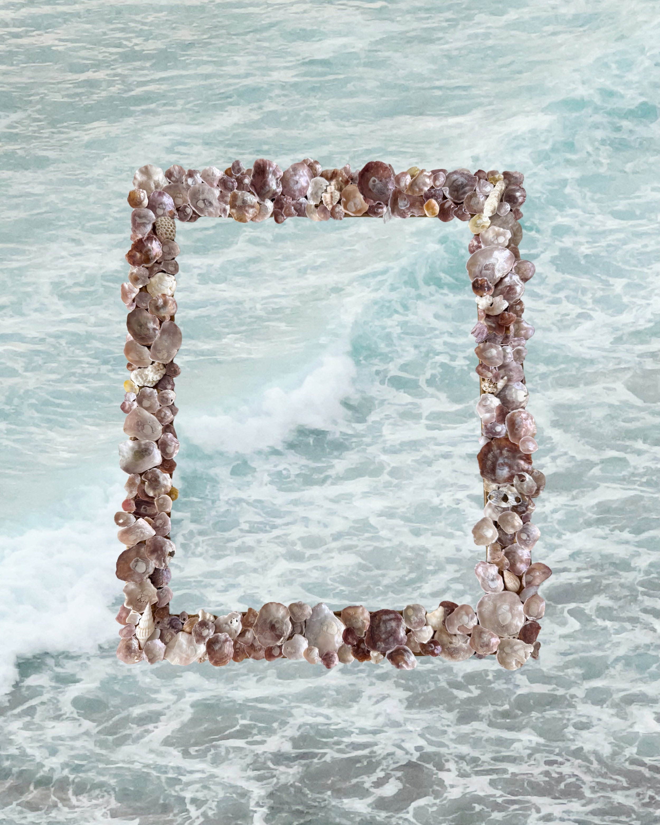 Algarve Seashell Frame