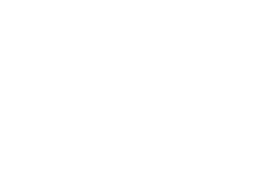 Velocity Training AI