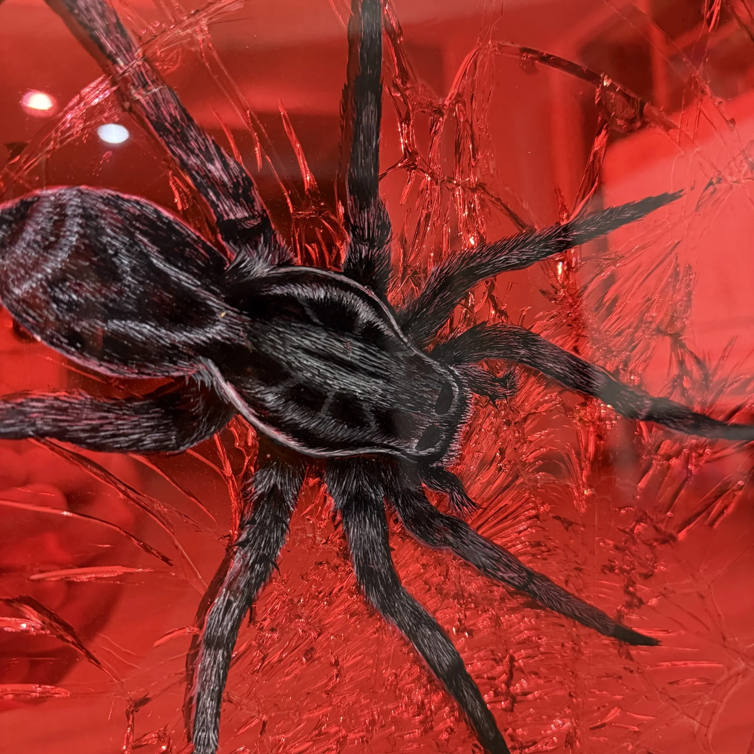 Acrylic, stained glass paint and epoxy resin on intentionally-shattered mirror. Mounted to canvas. 24 x 36 in.