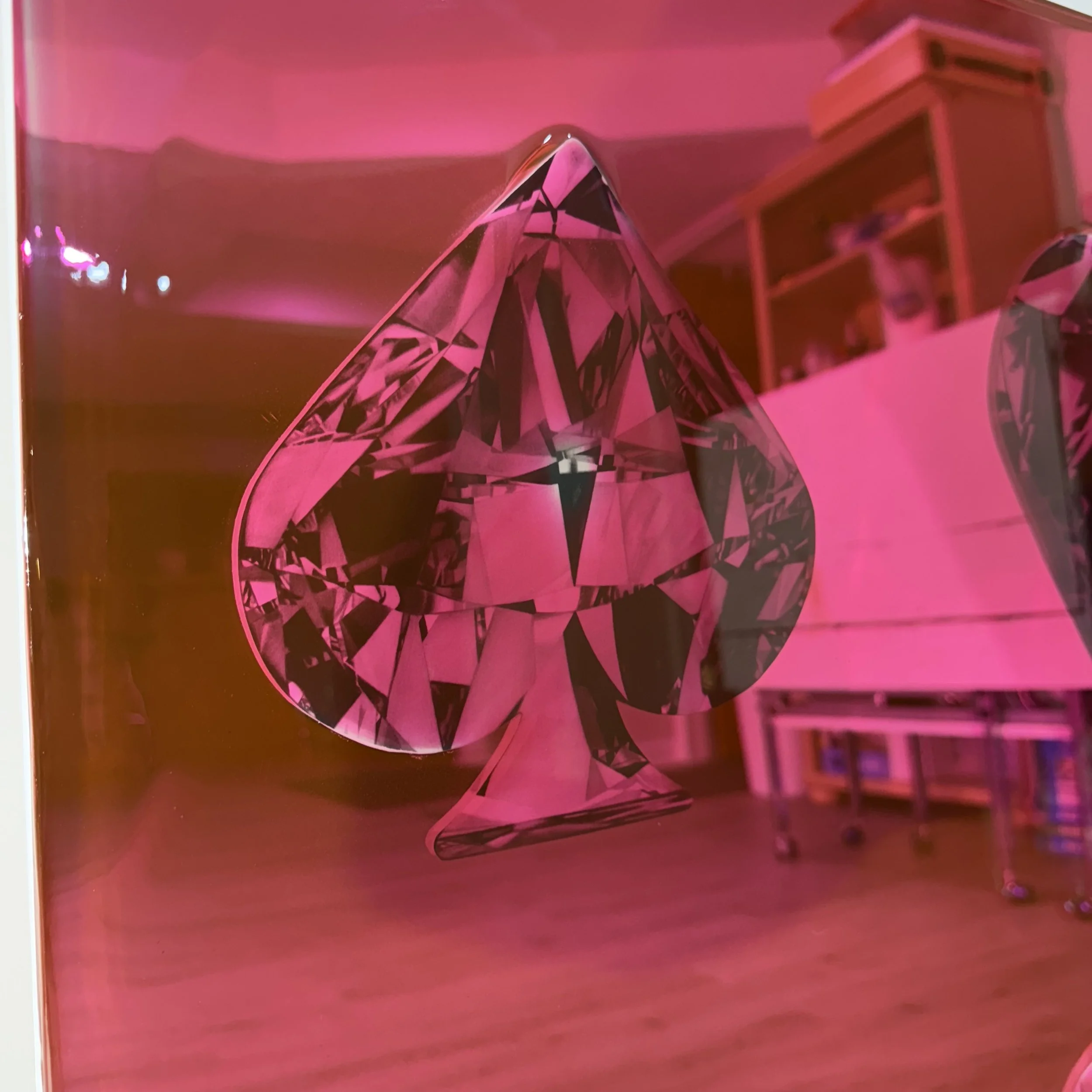 Graphite pencil drawings, layered over mirror and sealed with pink-dyed epoxy resin. Mounted to mirror. 24 x 30 in.