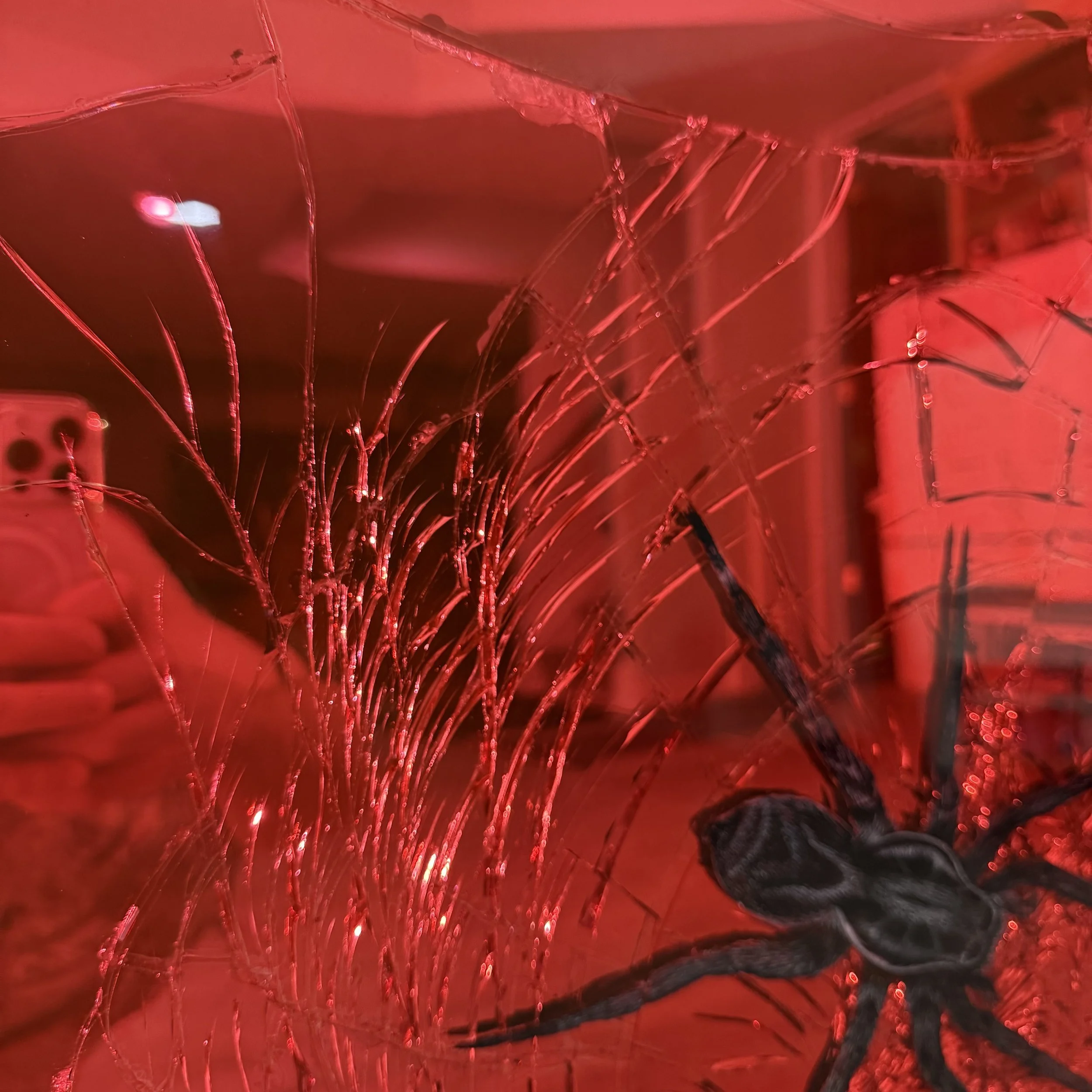 Acrylic, stained glass paint and epoxy resin on intentionally-shattered mirror. Mounted to canvas. 24 x 36 in.