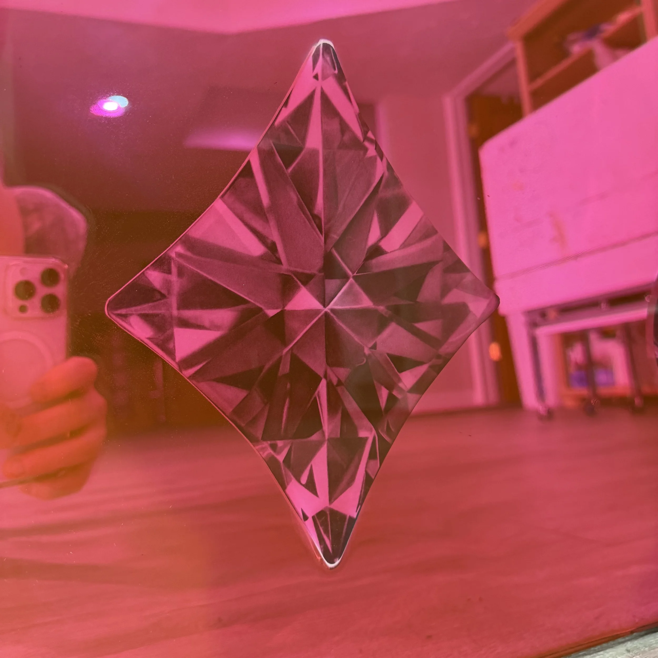 Graphite pencil drawings, layered over mirror and sealed with pink-dyed epoxy resin. Mounted to mirror. 24 x 30 in.